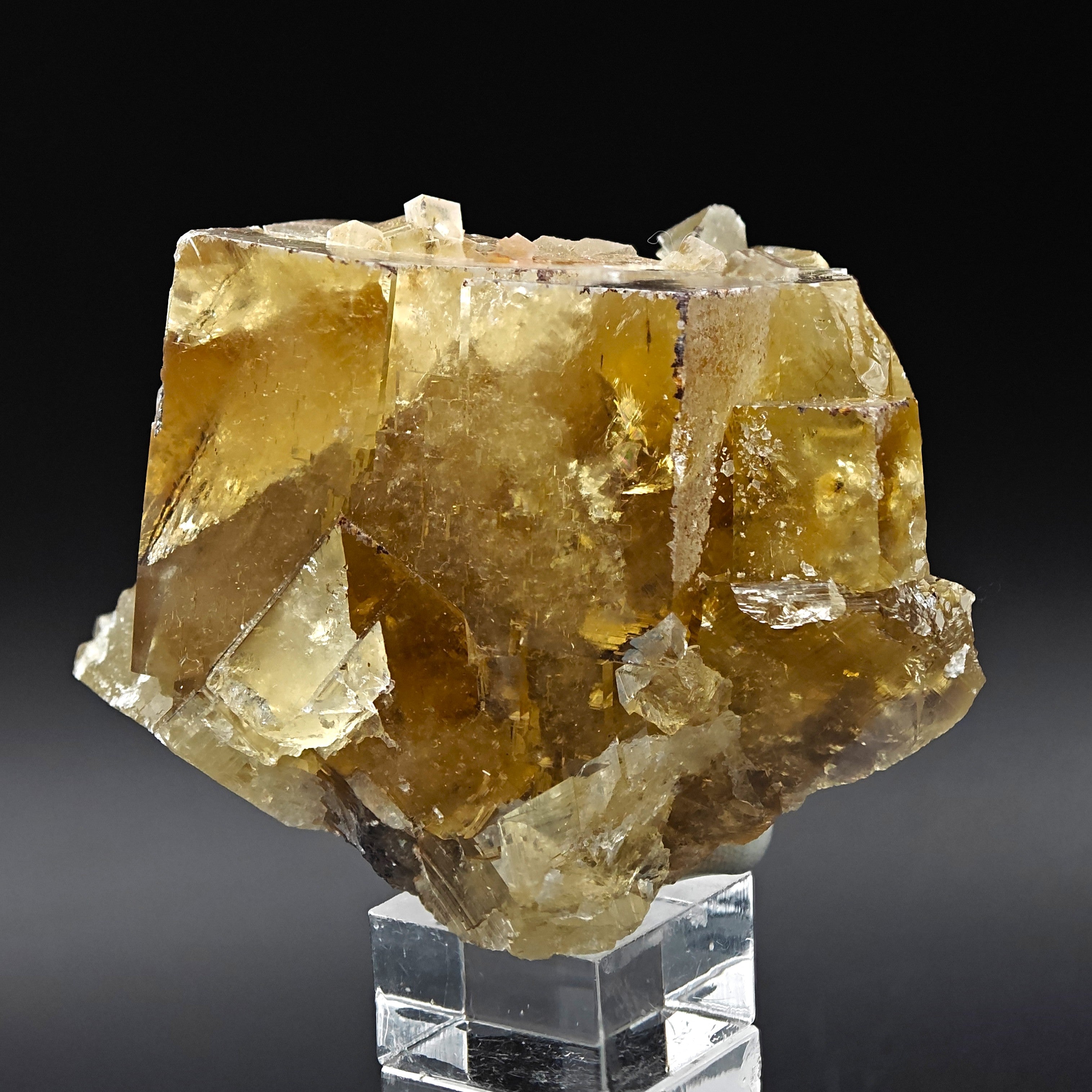 FLUORITE – Golden-Yellow Cubic Crystals, Huairou District, Beijing, China
