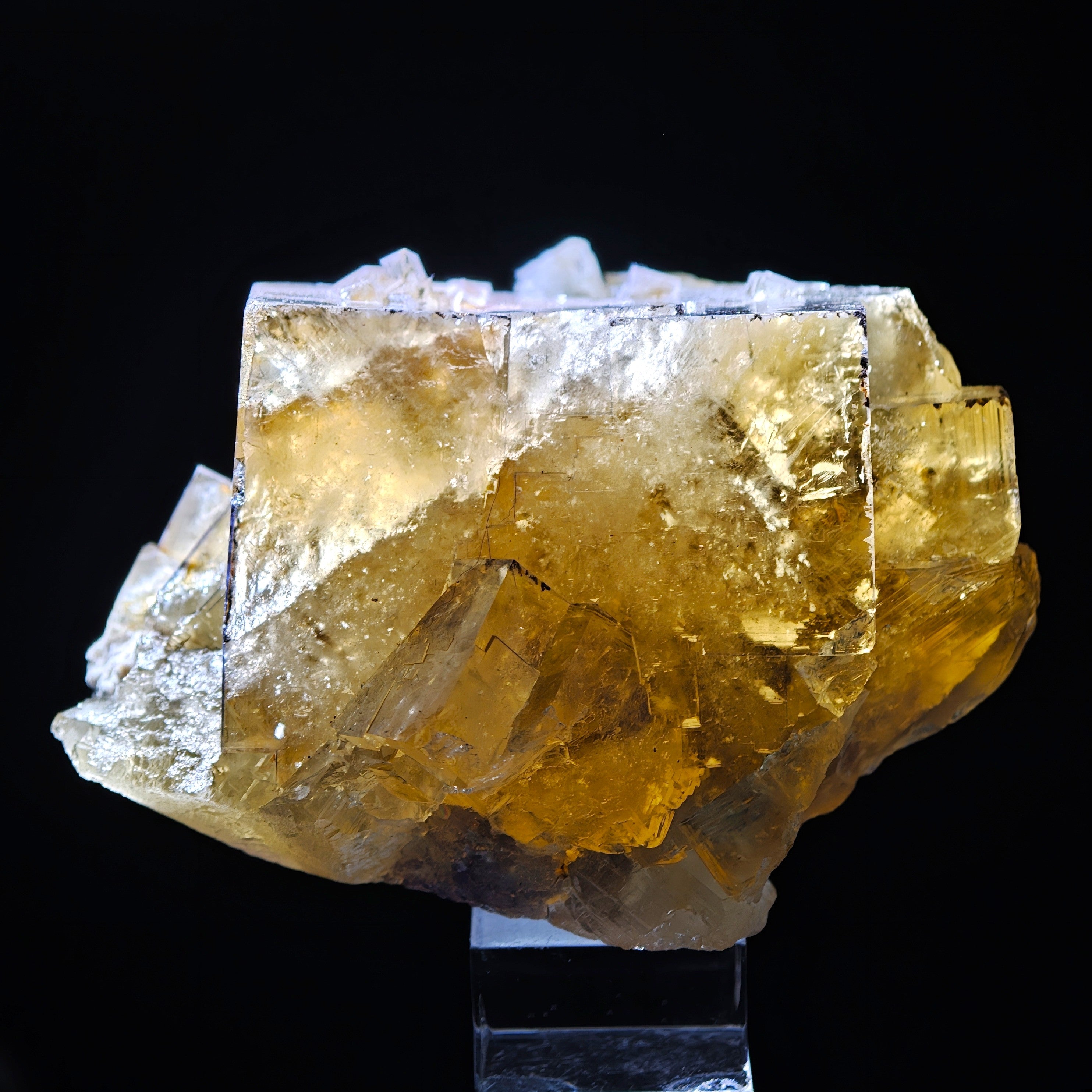 FLUORITE – Golden-Yellow Cubic Crystals, Huairou District, Beijing, China