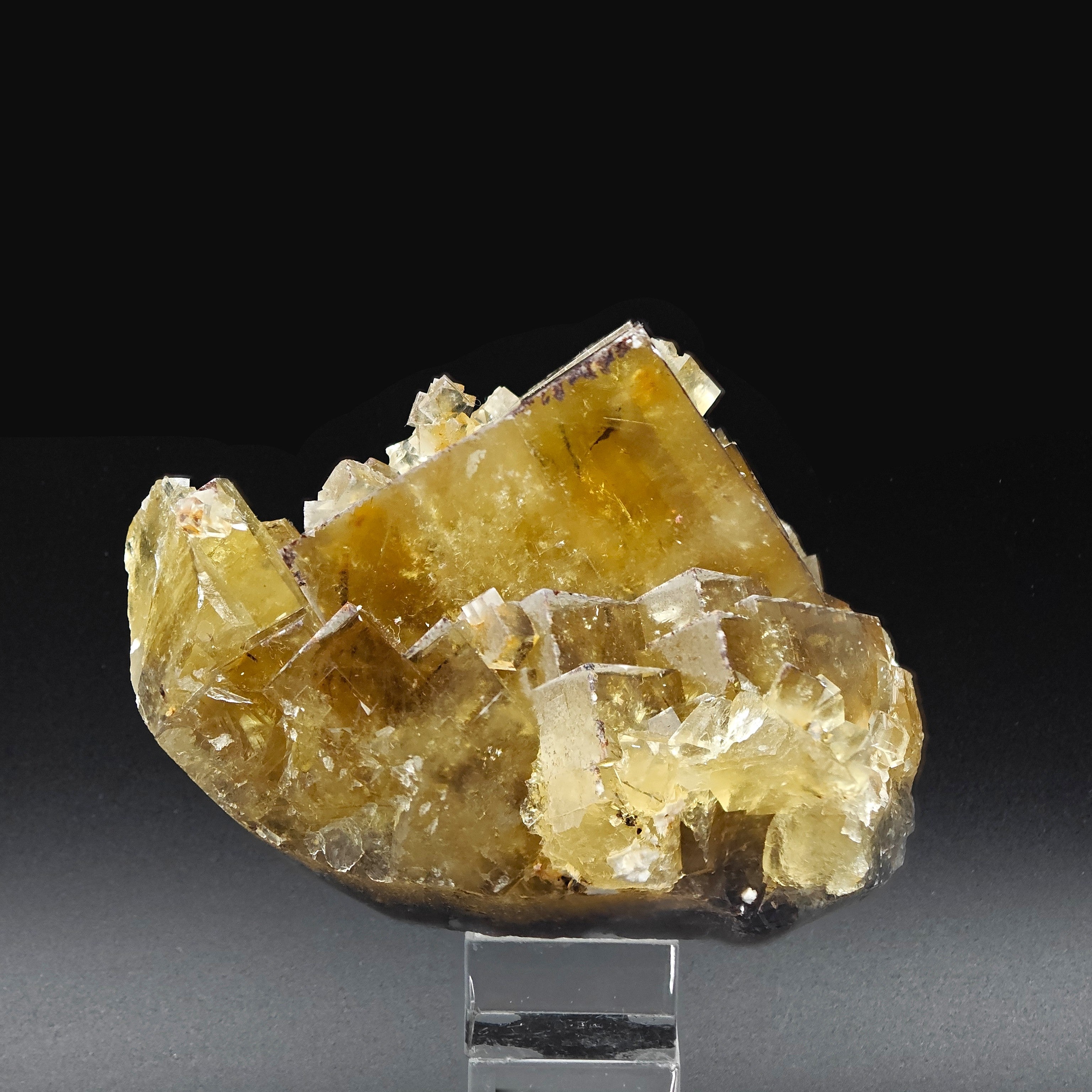 FLUORITE – Golden Yellow Cubic Crystals, Lanying Mine, Beijing, China