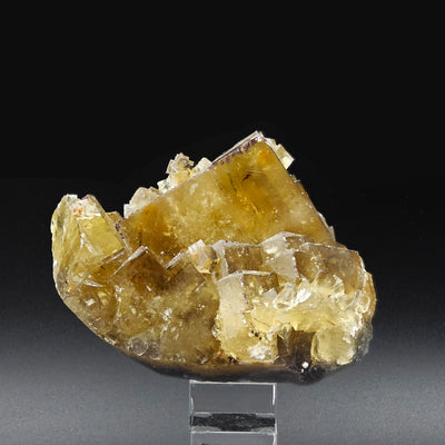Side view of golden fluorite cube cluster on matrix, Beijing, China