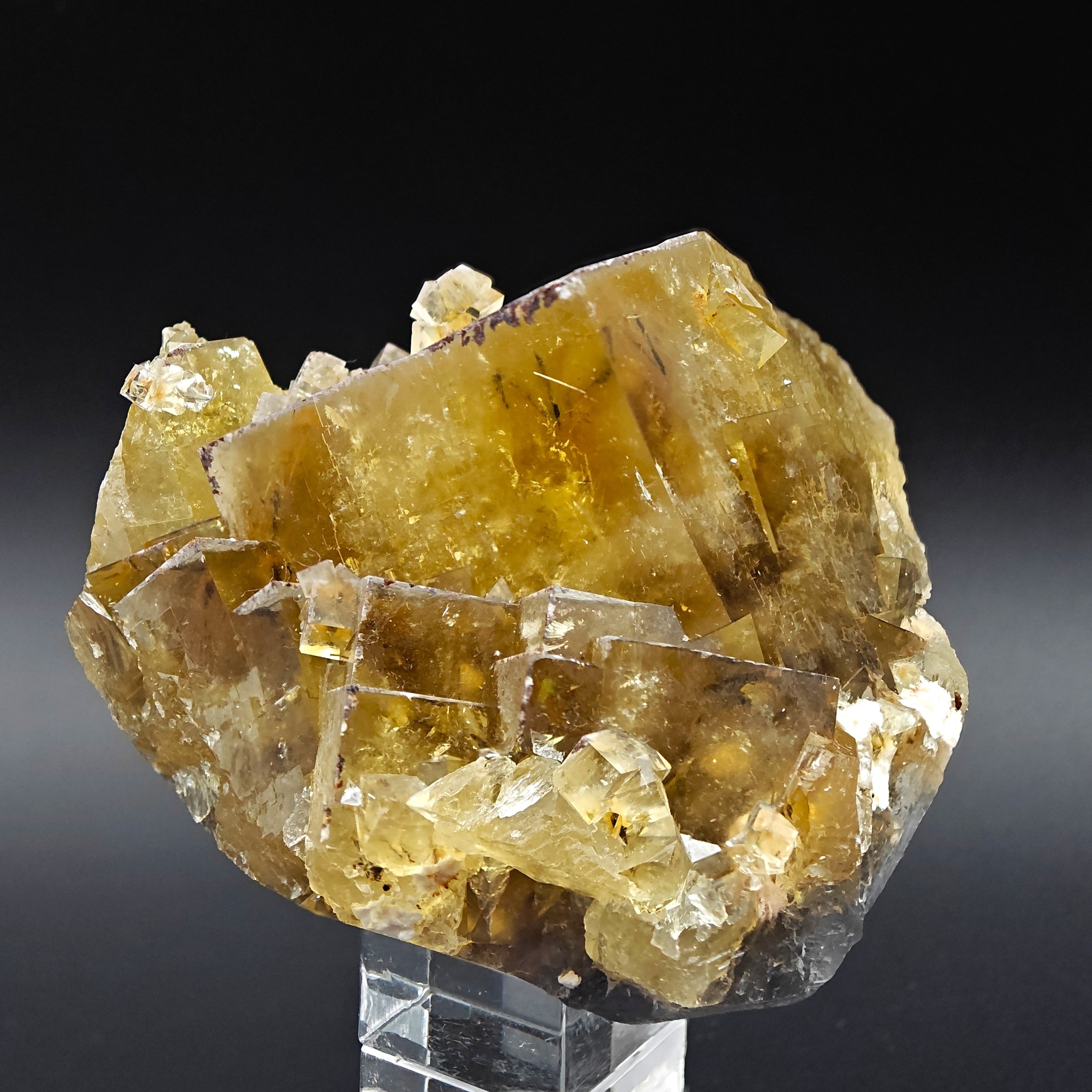 FLUORITE – Golden Yellow Cubic Crystals, Lanying Mine, Beijing, China