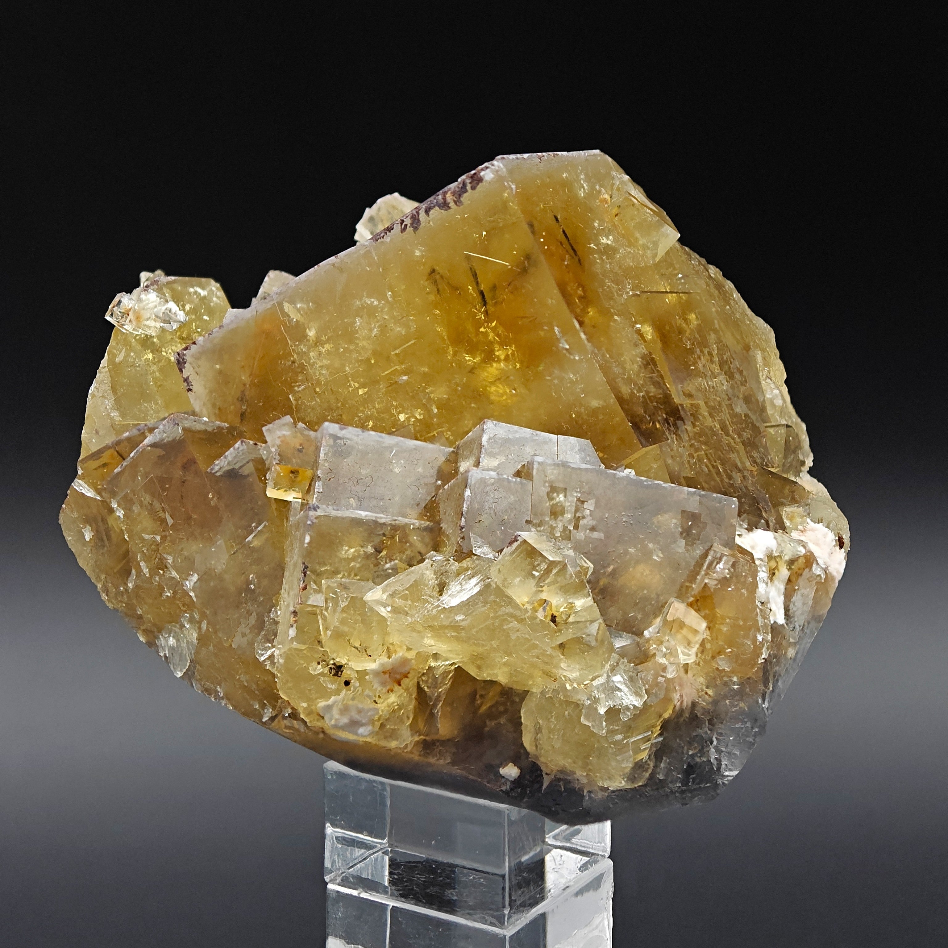FLUORITE – Golden Yellow Cubic Crystals, Lanying Mine, Beijing, China