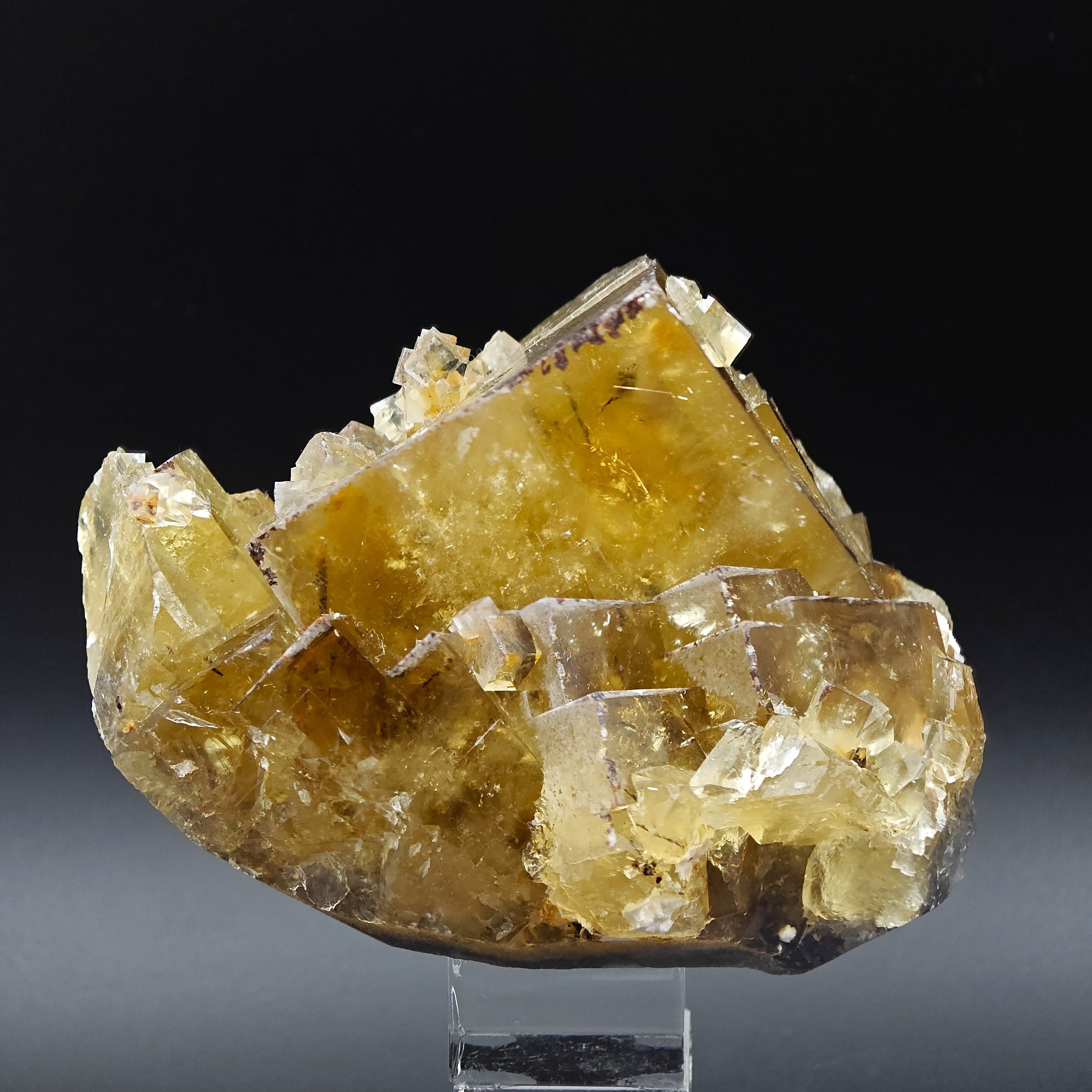 FLUORITE – Golden Yellow Cubic Crystals, Lanying Mine, Beijing, China