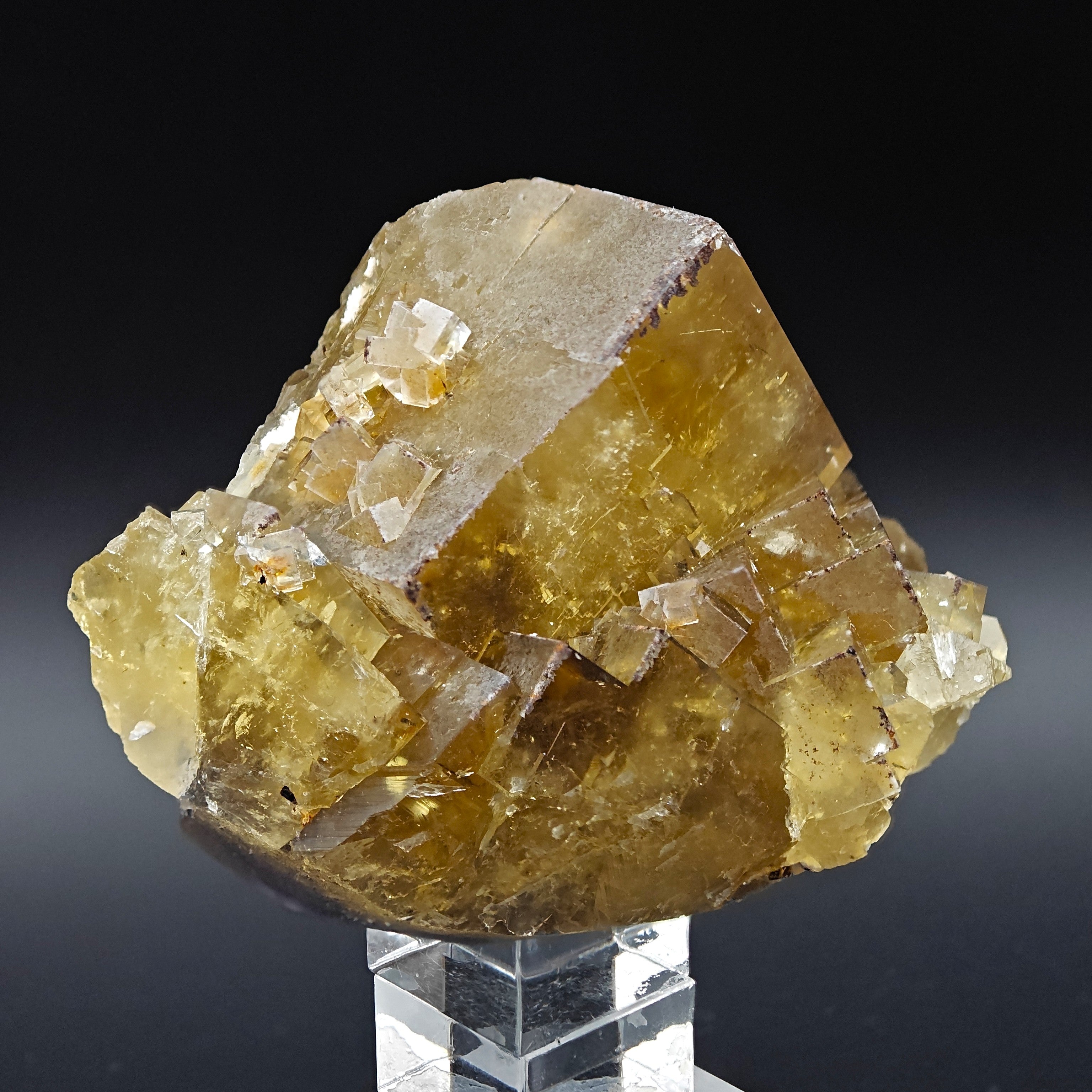 FLUORITE – Golden Yellow Cubic Crystals, Lanying Mine, Beijing, China