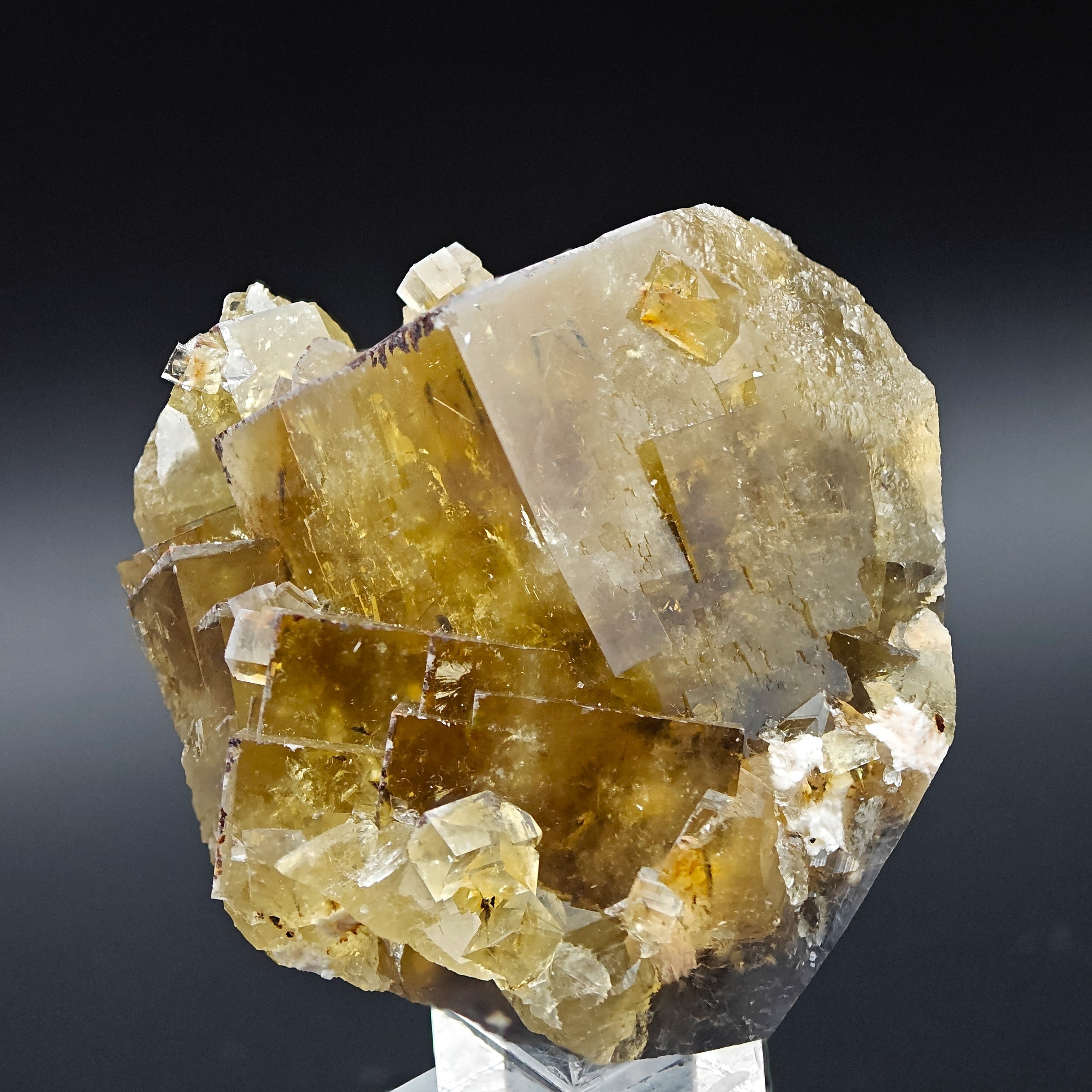 FLUORITE – Golden Yellow Cubic Crystals, Lanying Mine, Beijing, China