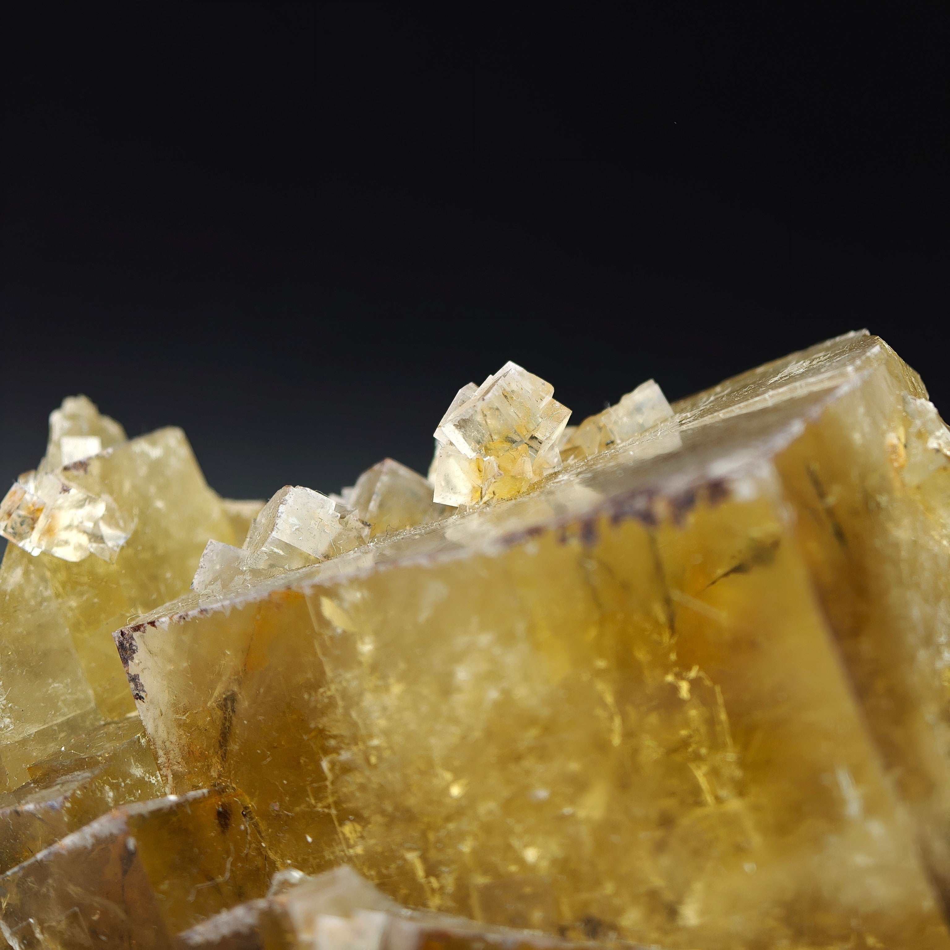 FLUORITE – Golden Yellow Cubic Crystals, Lanying Mine, Beijing, China