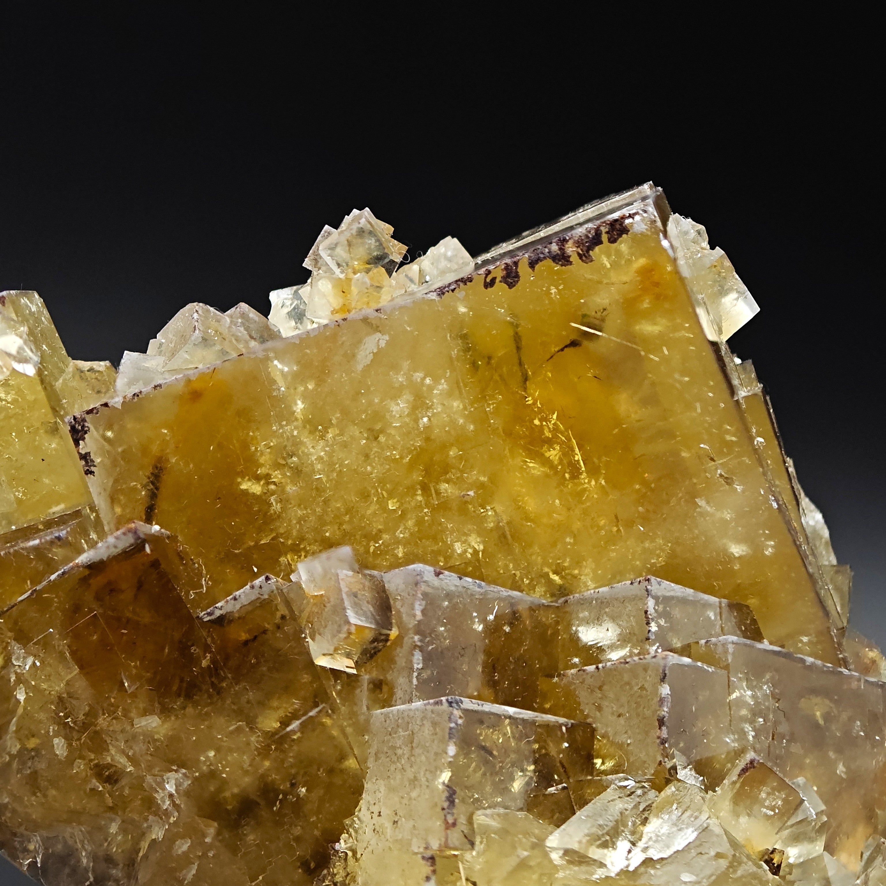FLUORITE – Golden Yellow Cubic Crystals, Lanying Mine, Beijing, China