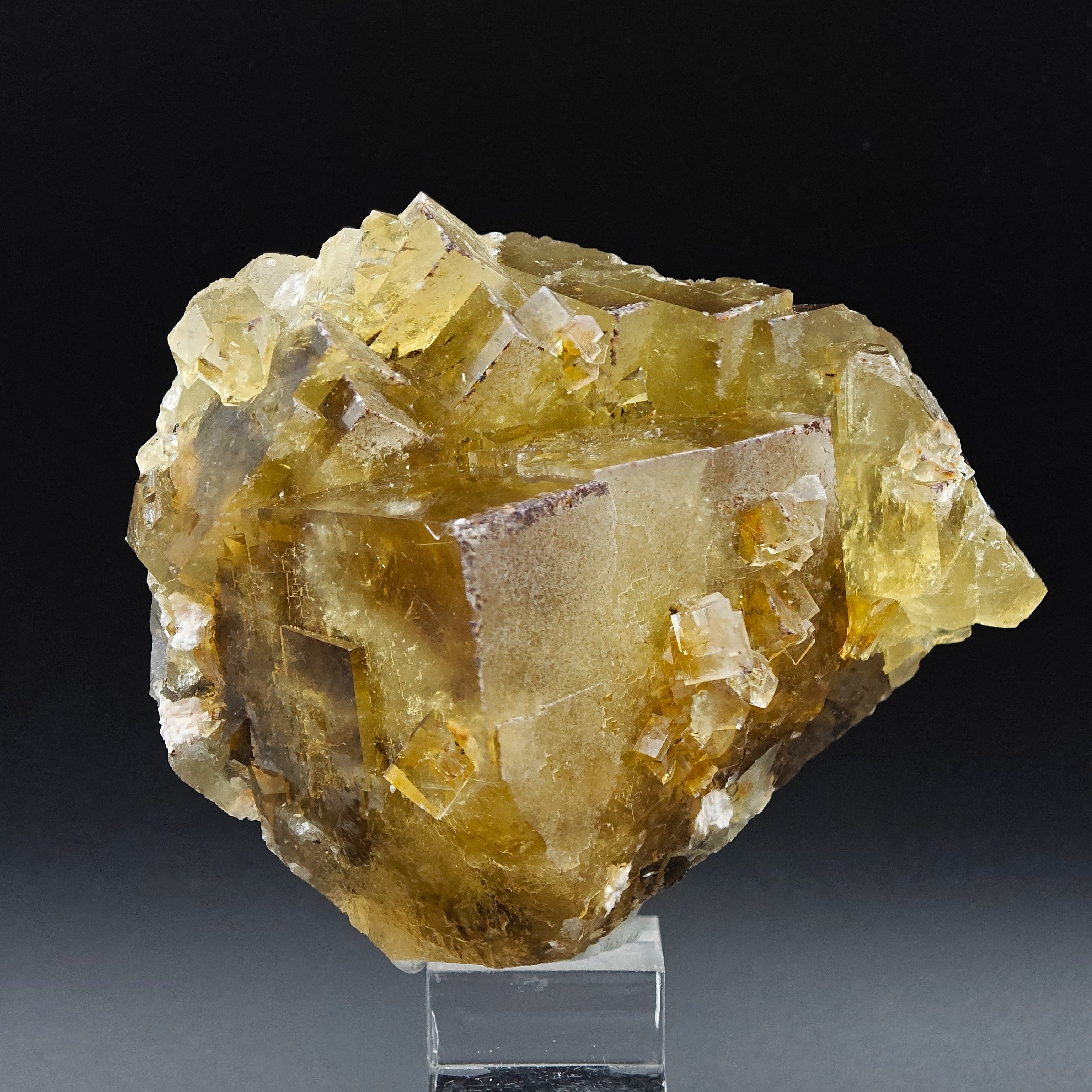 FLUORITE – Golden Yellow Cubic Crystals, Lanying Mine, Beijing, China