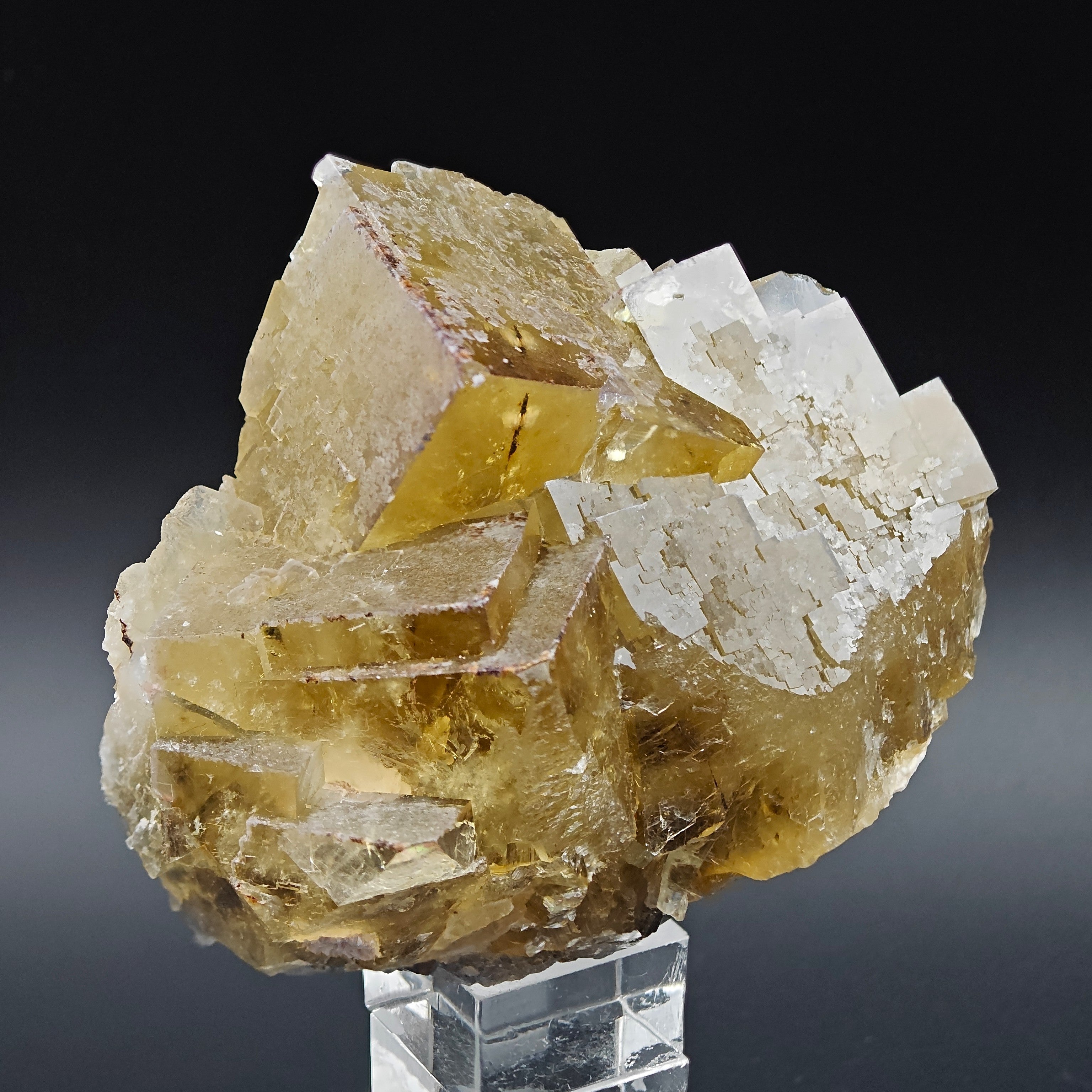 FLUORITE – Golden Yellow Cubic Crystals, Huairou District, Beijing, China