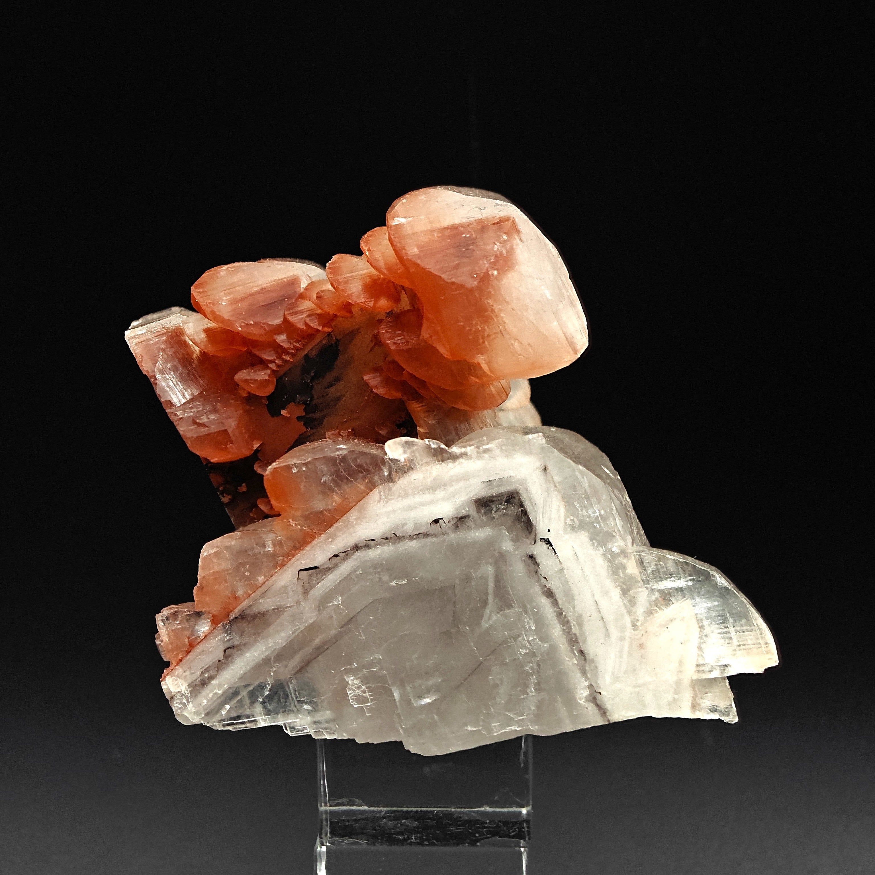 CALCITE – Lustrous Scepter Cluster with Red Hematite, Fengjiashan Mine, China