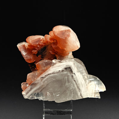 Side view of lustrous calcite scepters with hematite staining, Fengjiashan Mine, China