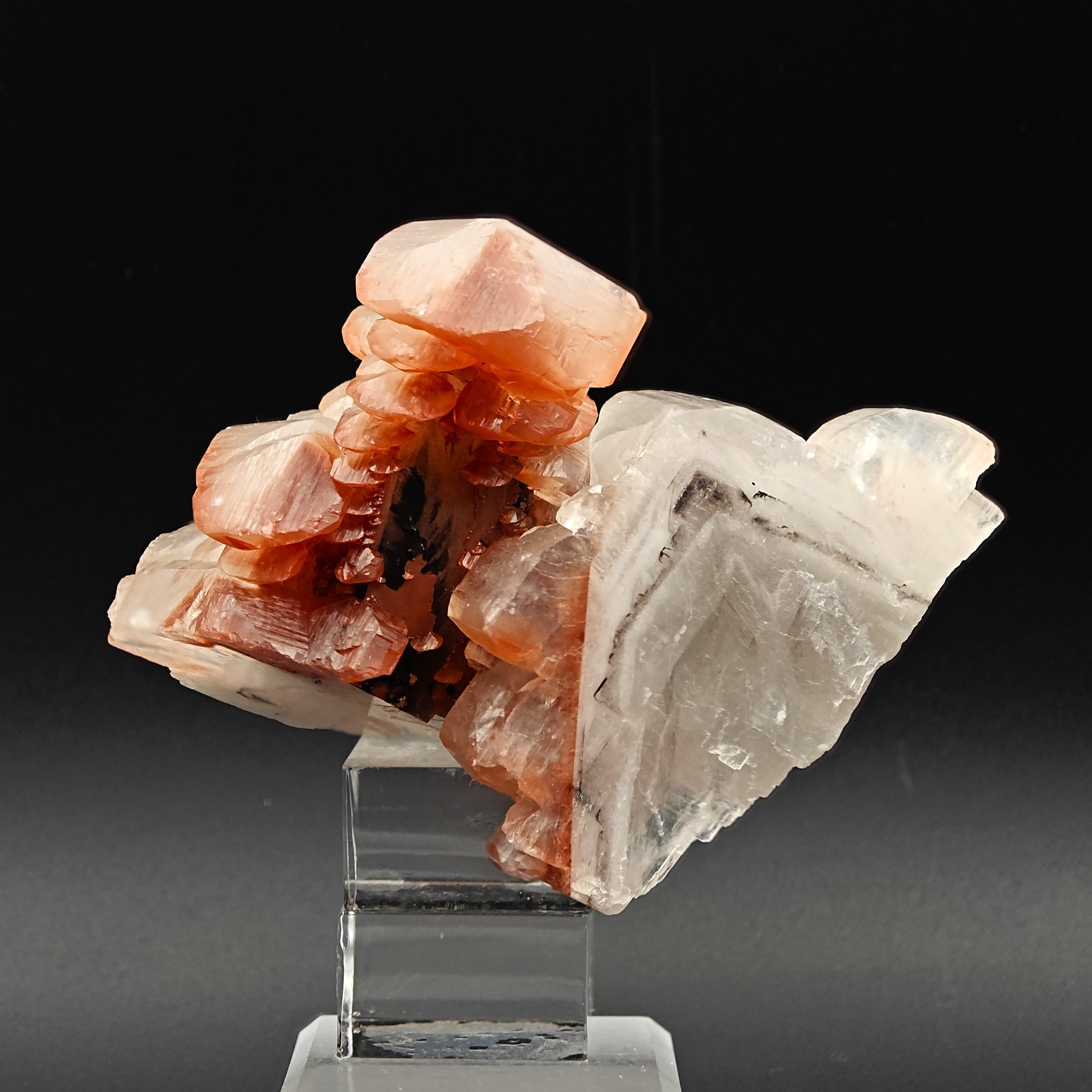 CALCITE – Lustrous Scepter Cluster with Red Hematite, Fengjiashan Mine, China