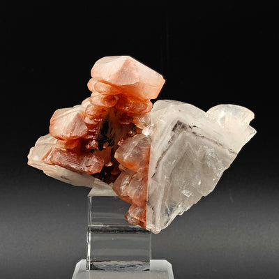 Calcite cluster with multiple scepter terminations on matrix, Fengjiashan Mine, China