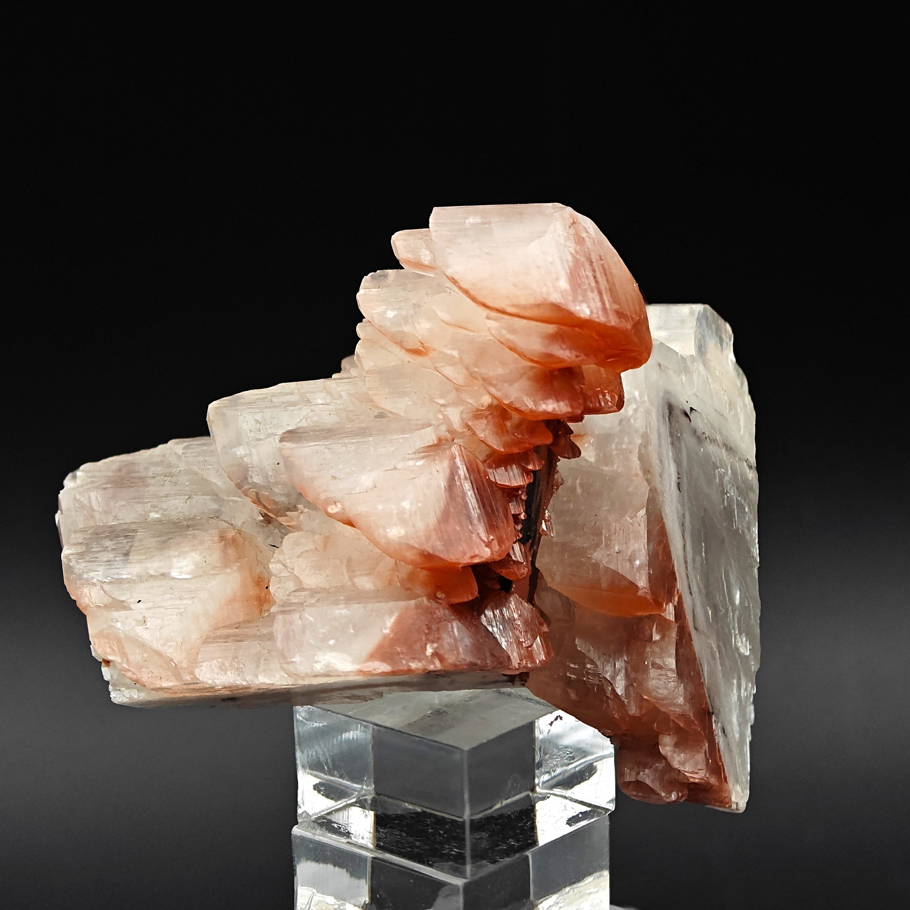 CALCITE – Lustrous Scepter Cluster with Red Hematite, Fengjiashan Mine, China
