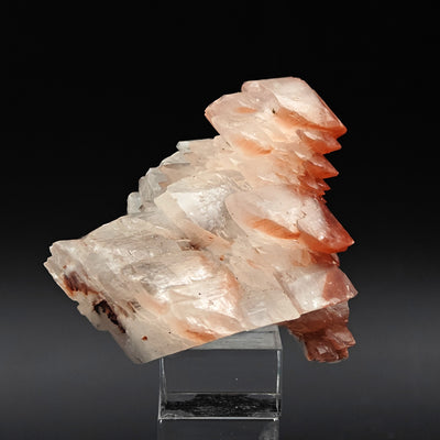 Calcite crystals with hematite-stained terminations, Fengjiashan Mine, Hubei