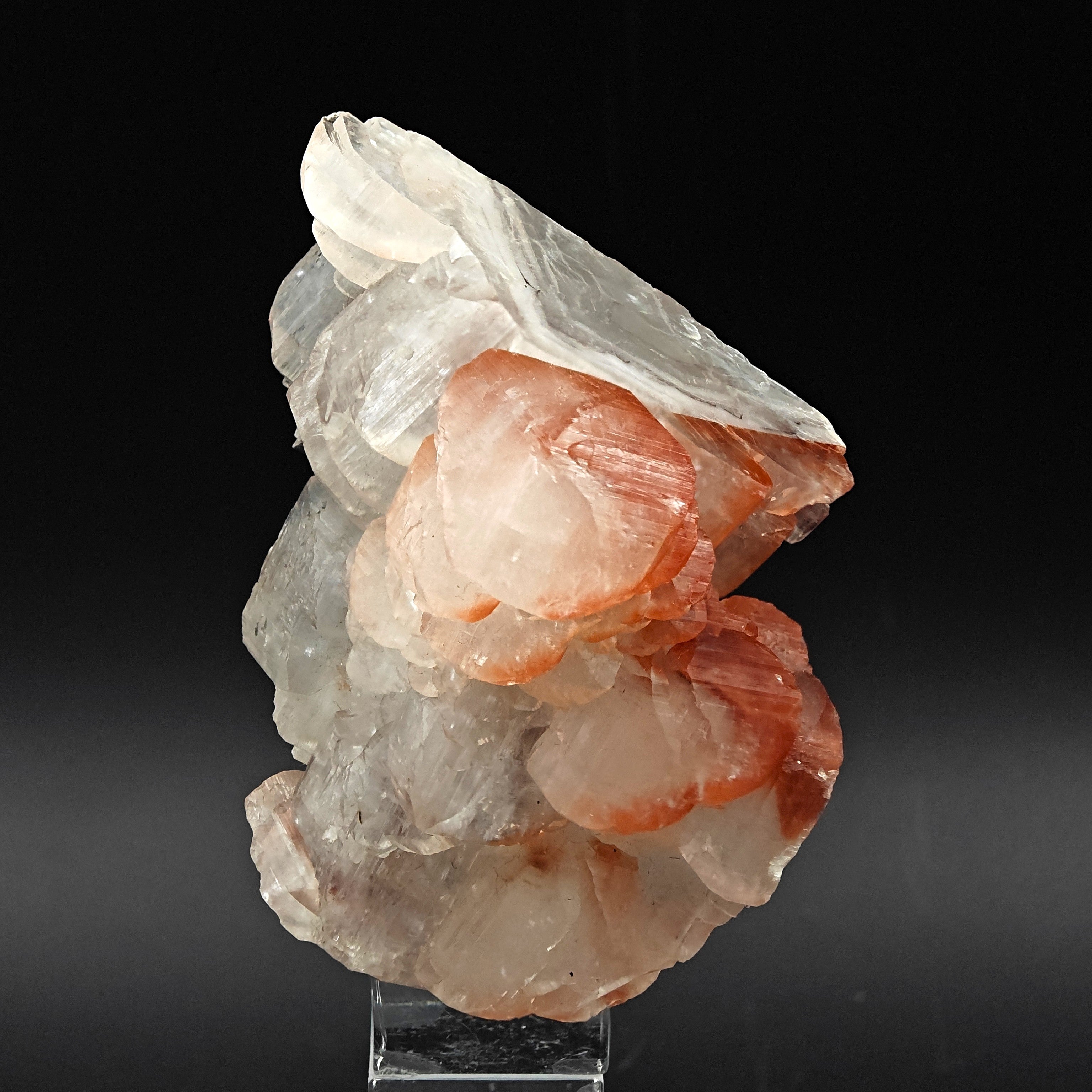 CALCITE – Lustrous Scepter Cluster with Red Hematite, Fengjiashan Mine, China