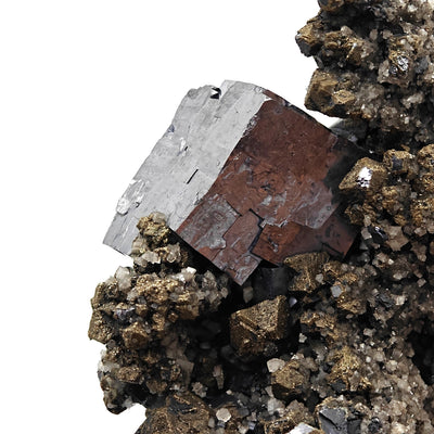 Galena crystal with iridescent tarnish on Chalcopyrite matrix, Missouri