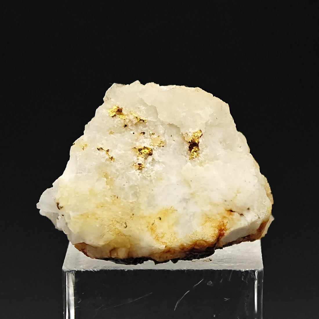 NATIVE GOLD – Yellow Gold Crystals on Quartz, Brusson Mine, Aosta Valley, Italy