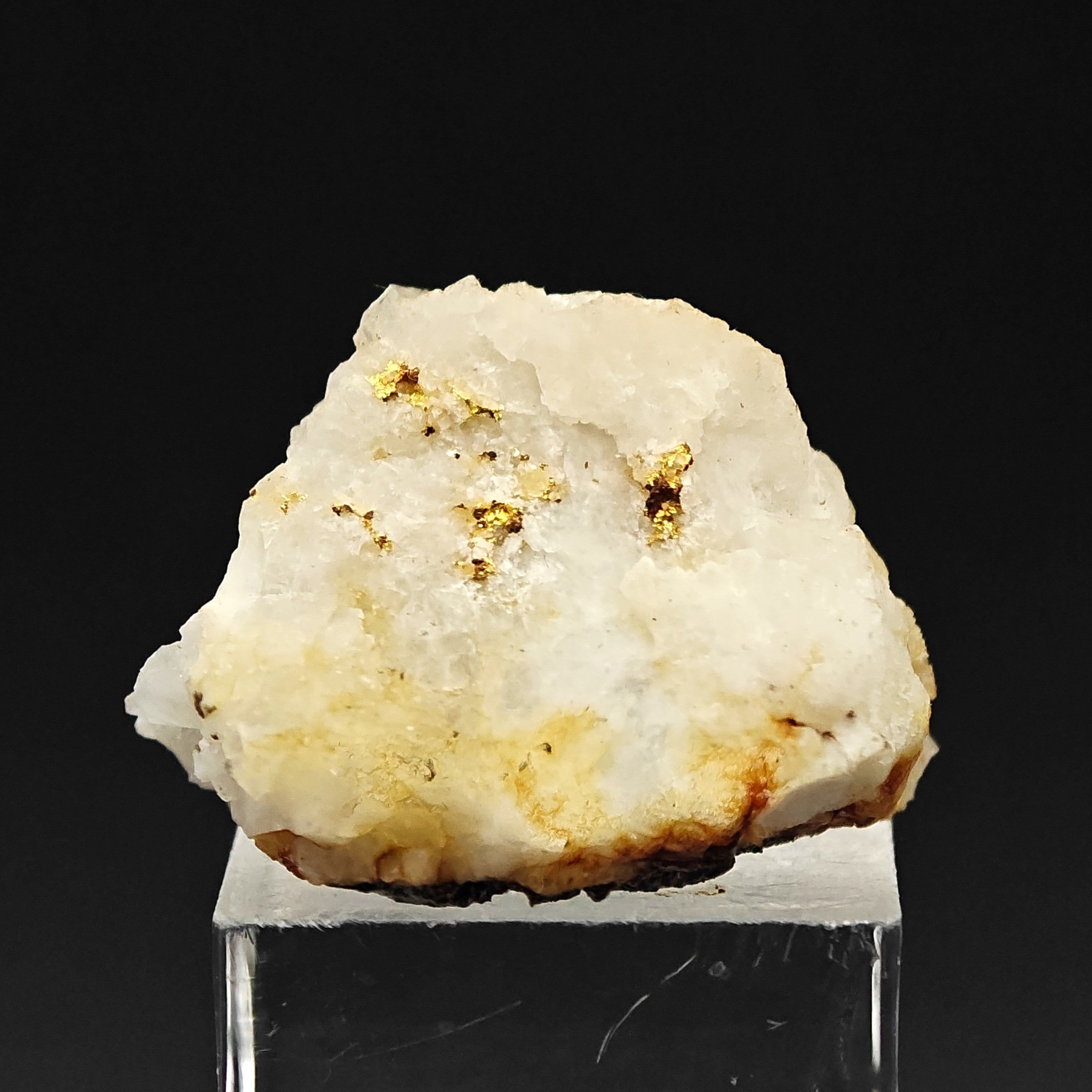 NATIVE GOLD – Yellow Gold Crystals on Quartz, Brusson Mine, Aosta Valley, Italy