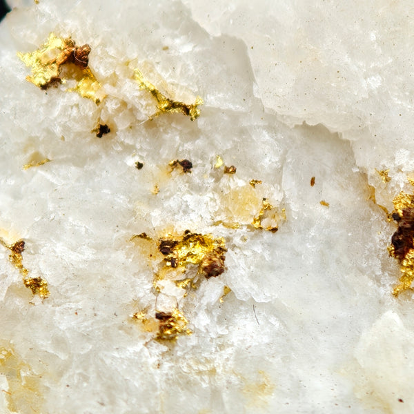NATIVE GOLD – Yellow Gold Crystals on Quartz, Brusson Mine, Aosta Valley, Italy
