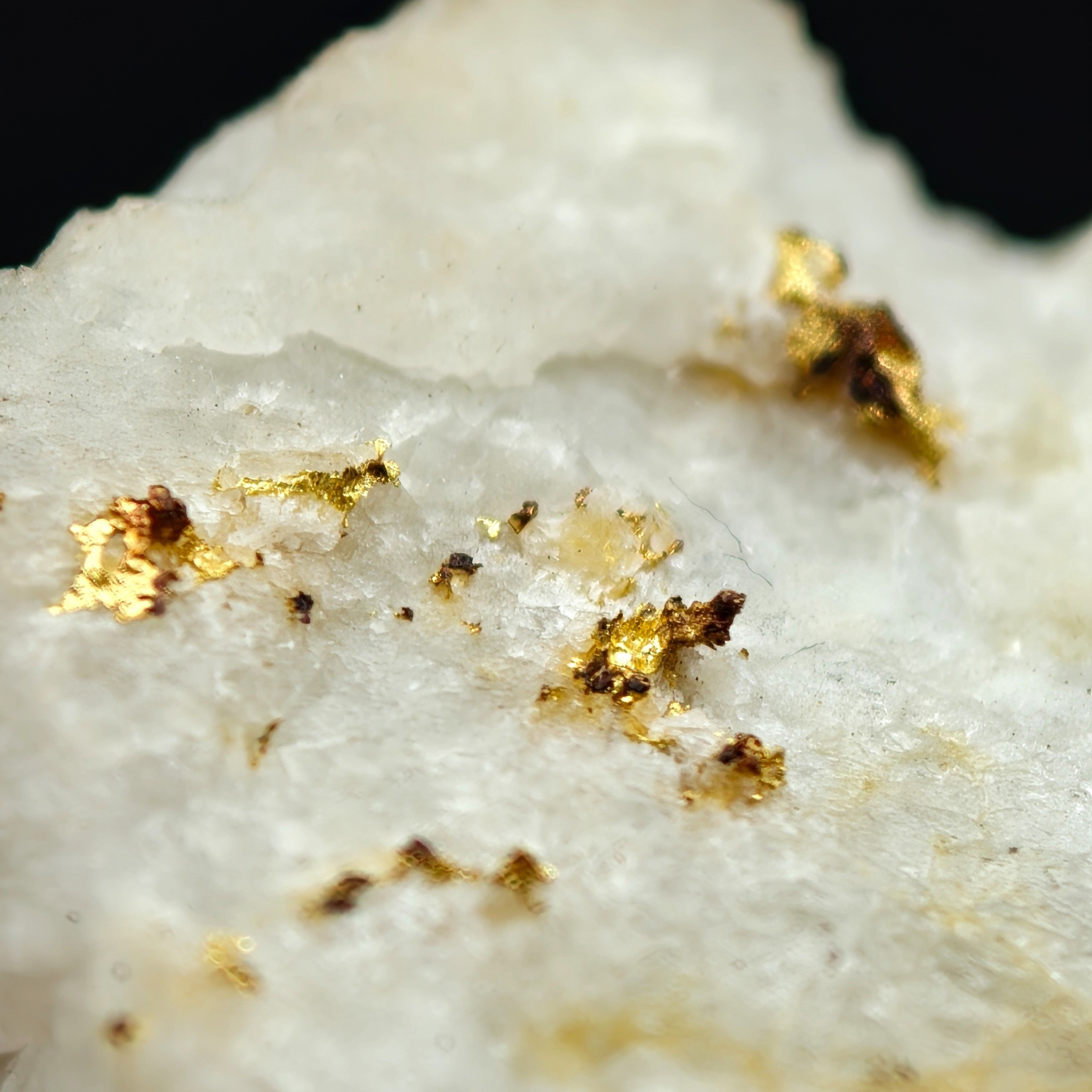 NATIVE GOLD – Yellow Gold Crystals on Quartz, Brusson Mine, Aosta Valley, Italy