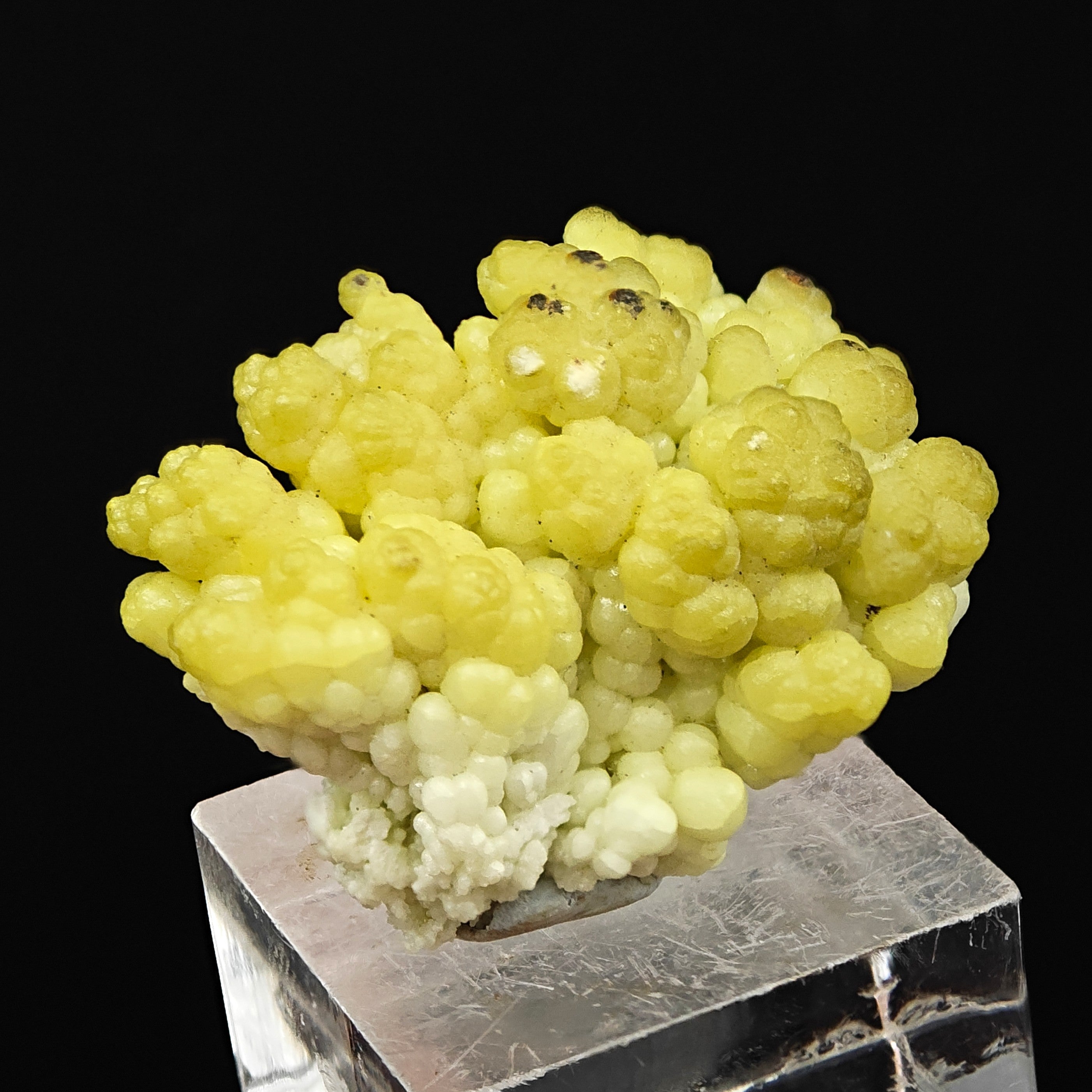 HYALITE OPAL – Extremely Rare Yellow Coralloid Crystals, Santa Lucia Mine, Sardinia, Italy