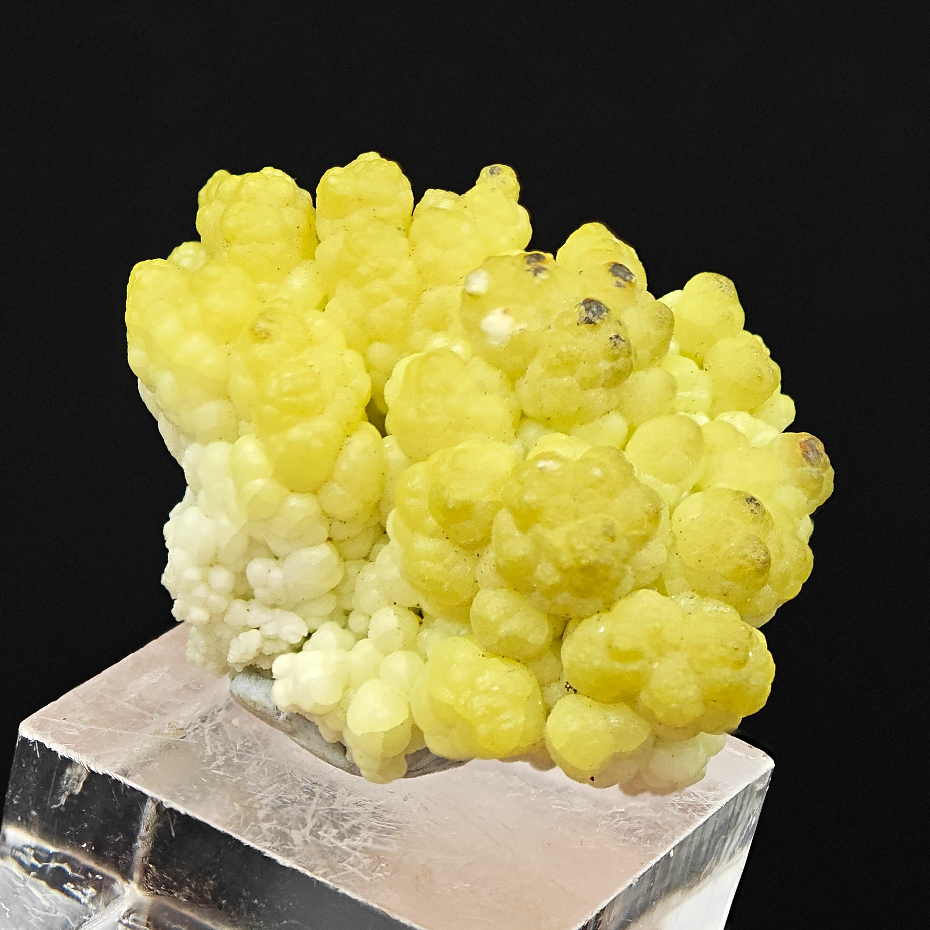 HYALITE OPAL – Extremely Rare Yellow Coralloid Crystals, Santa Lucia Mine, Sardinia, Italy