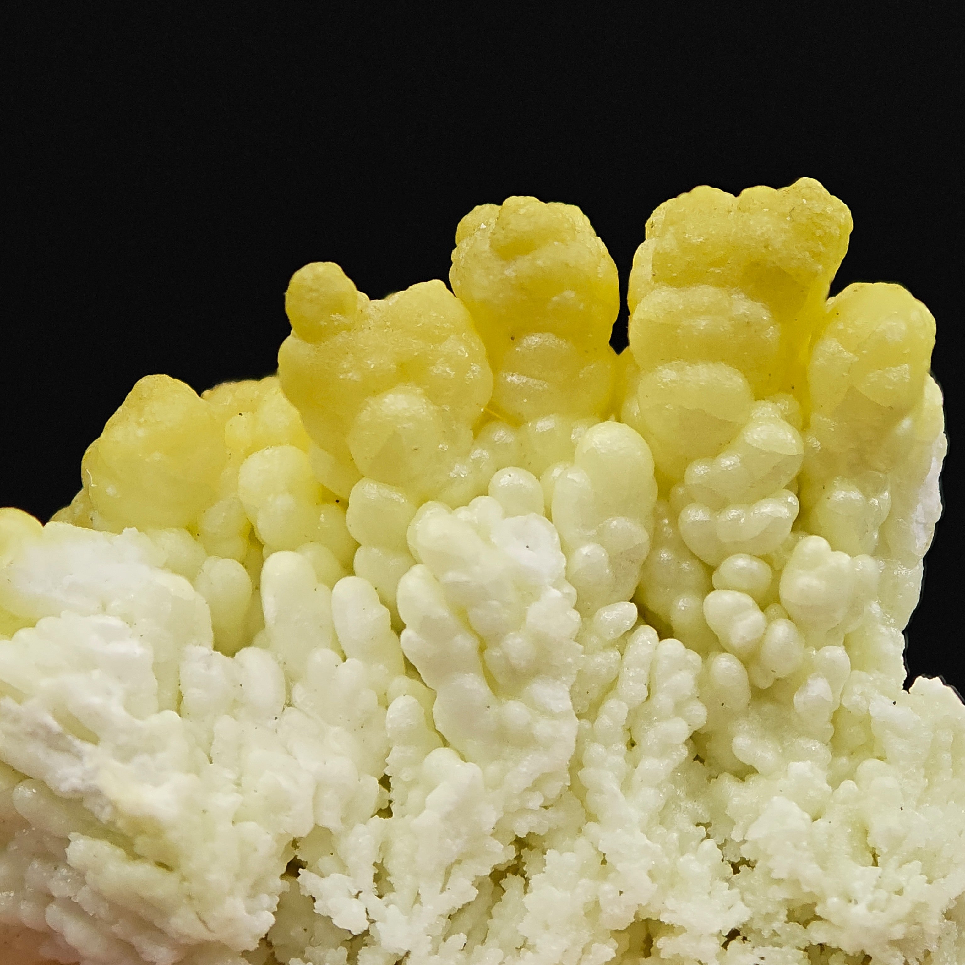 HYALITE OPAL – Extremely Rare Yellow Coralloid Crystals, Santa Lucia Mine, Sardinia, Italy