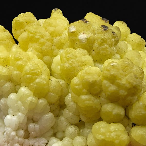 HYALITE OPAL – Extremely Rare Yellow Coralloid Crystals, Santa Lucia Mine, Sardinia, Italy