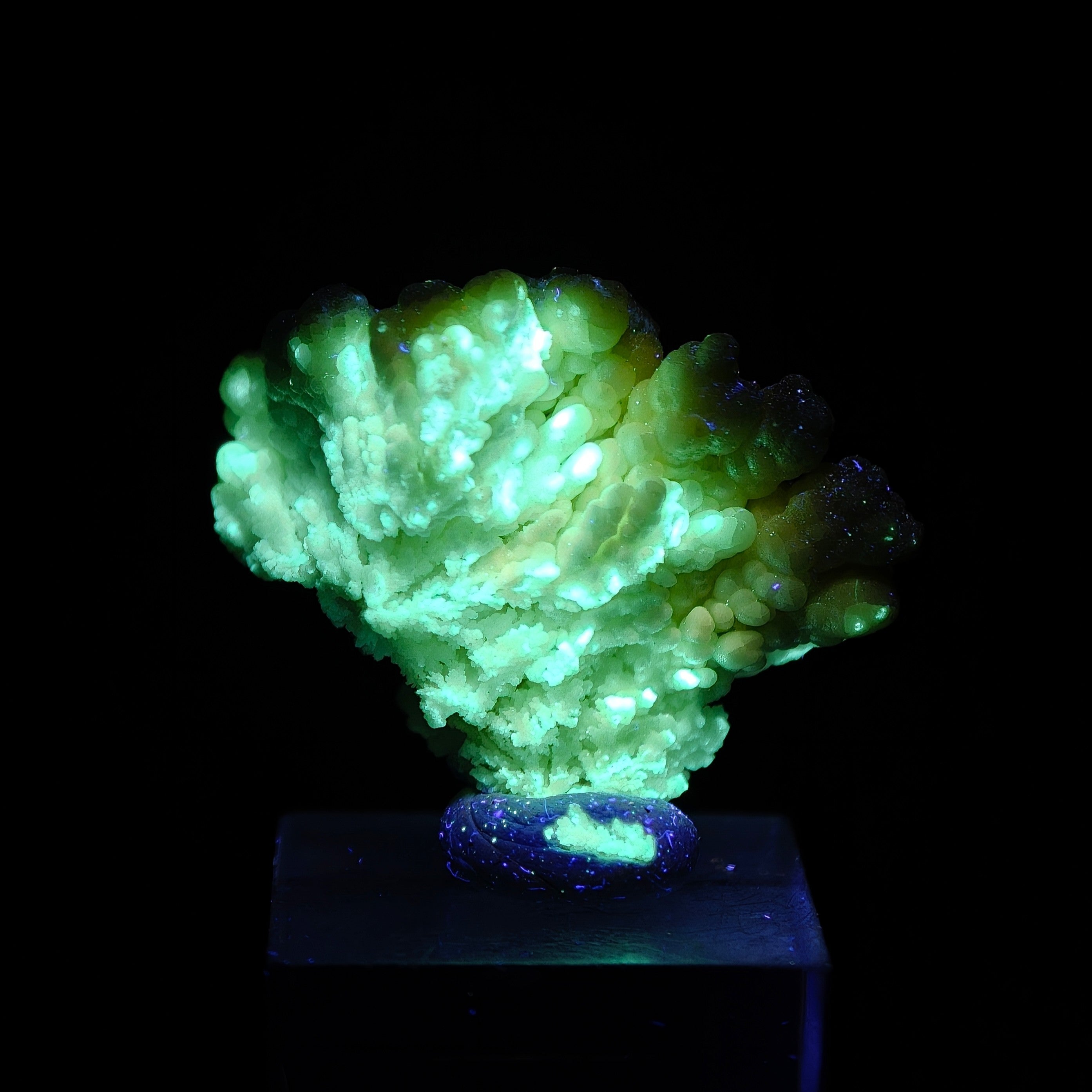HYALITE OPAL – Extremely Rare Yellow Coralloid Crystals, Santa Lucia Mine, Sardinia, Italy