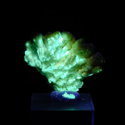 Hyalite opal fluorescing green under UV light, Santa Lucia Mine, Sardinia