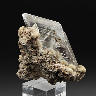 Side view of gypsum crystal perched on matrix with druzy mineral crust, Niccioleta, Italy