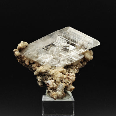 Front view of lustrous gypsum crystal on matrix, Niccioleta Mine, Tuscany