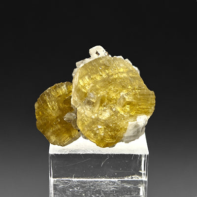 Siderite and magnesite combination specimen on acrylic stand, Morro Velho Mine, Brazil
