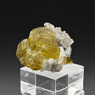 Siderite and magnesite cluster displayed on acrylic base, Morro Velho Mine, Nova Lima, Brazil
