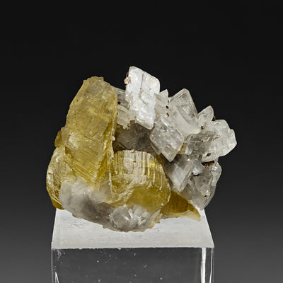 Golden siderite crystals paired with translucent magnesite crystal cluster, Brazil