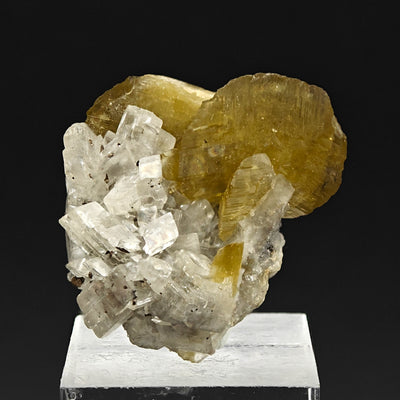 Front view of siderite and magnesite specimen showing contrasting luster, Morro Velho Mine