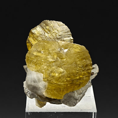 Siderite and magnesite specimen showing disc-shaped crystal habit, Morro Velho Mine, Brazil
