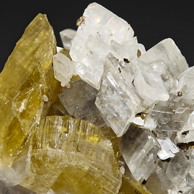 Detail of translucent magnesite crystals with pyrite inclusions beside siderite, Brazil