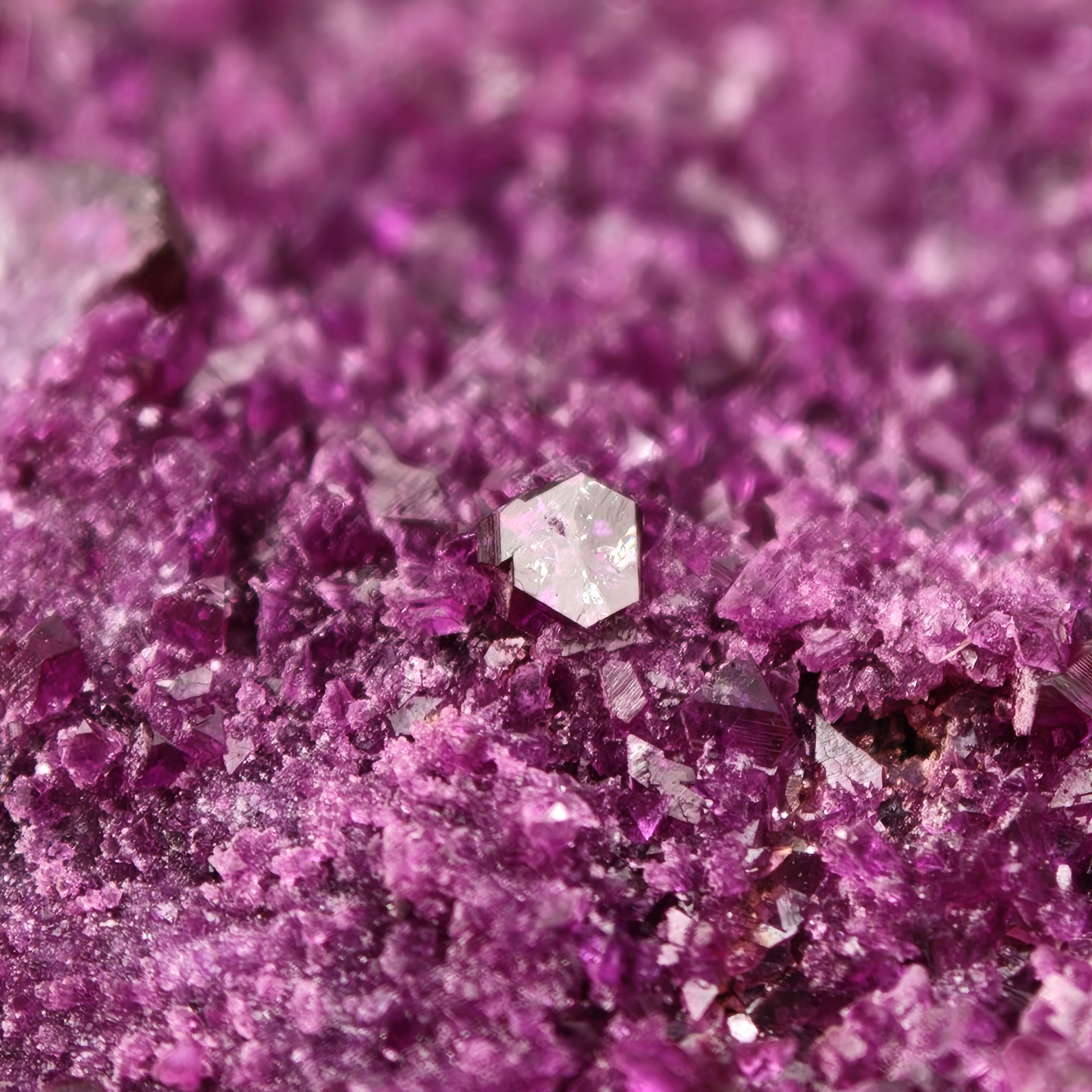 KAMMERERITE – Rare deep Purple Crystal Cluster, Kop Krom Mine, Turkey