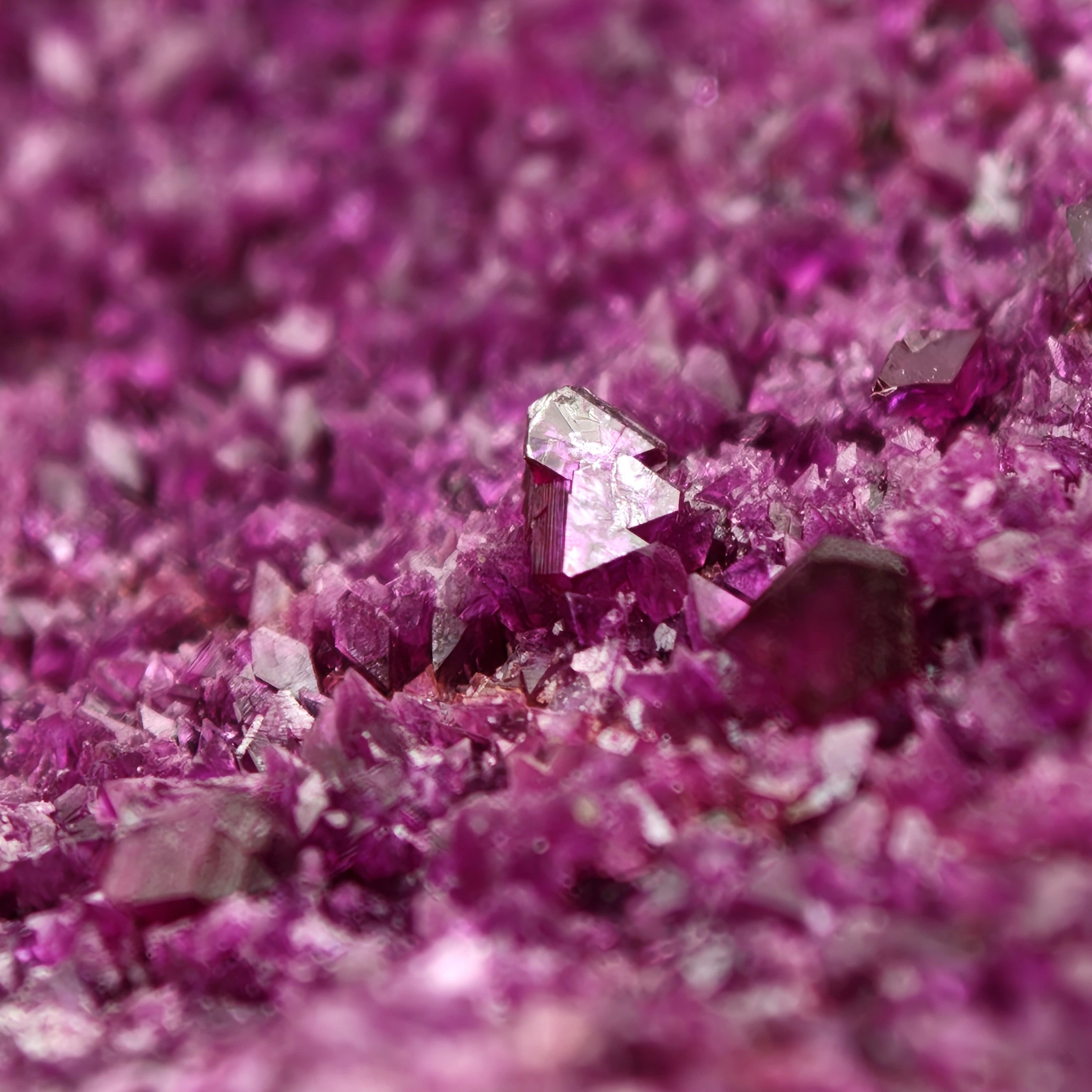 KAMMERERITE – Rare deep Purple Crystal Cluster, Kop Krom Mine, Turkey