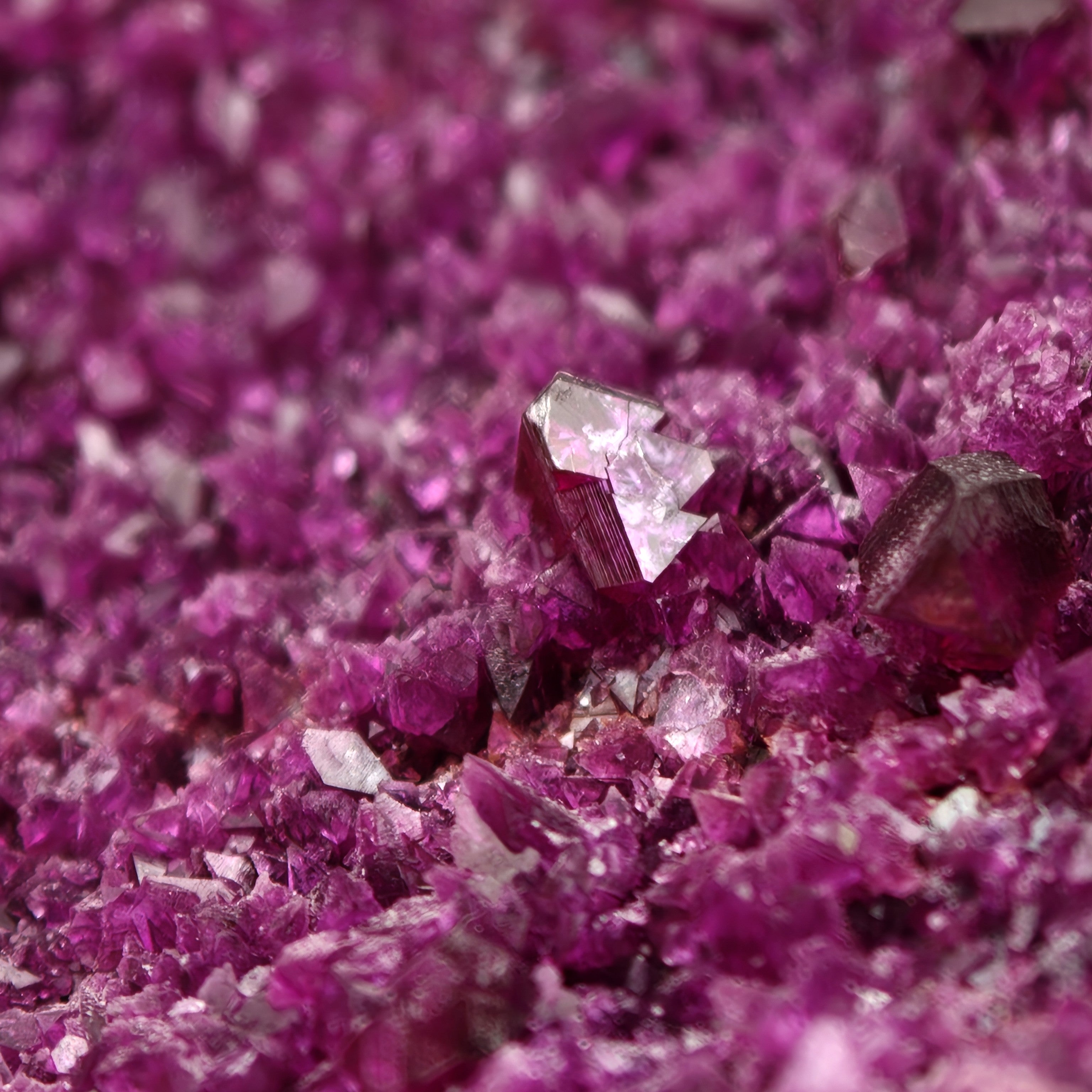 KAMMERERITE – Rare deep Purple Crystal Cluster, Kop Krom Mine, Turkey