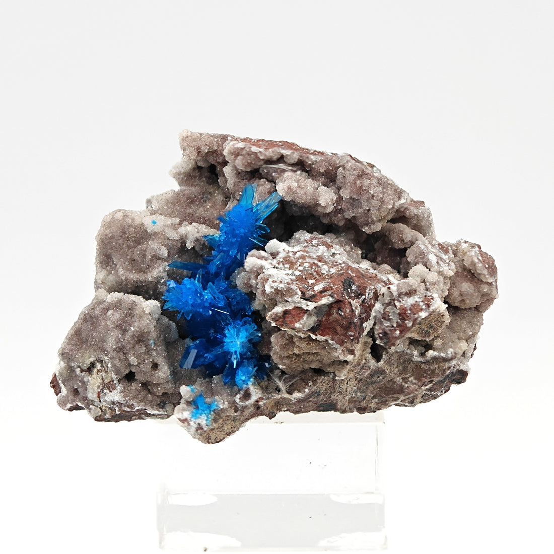 PENTAGONITE – Electric Blue Fan-Shaped Crystal Spray, Wagholi, Pune, India