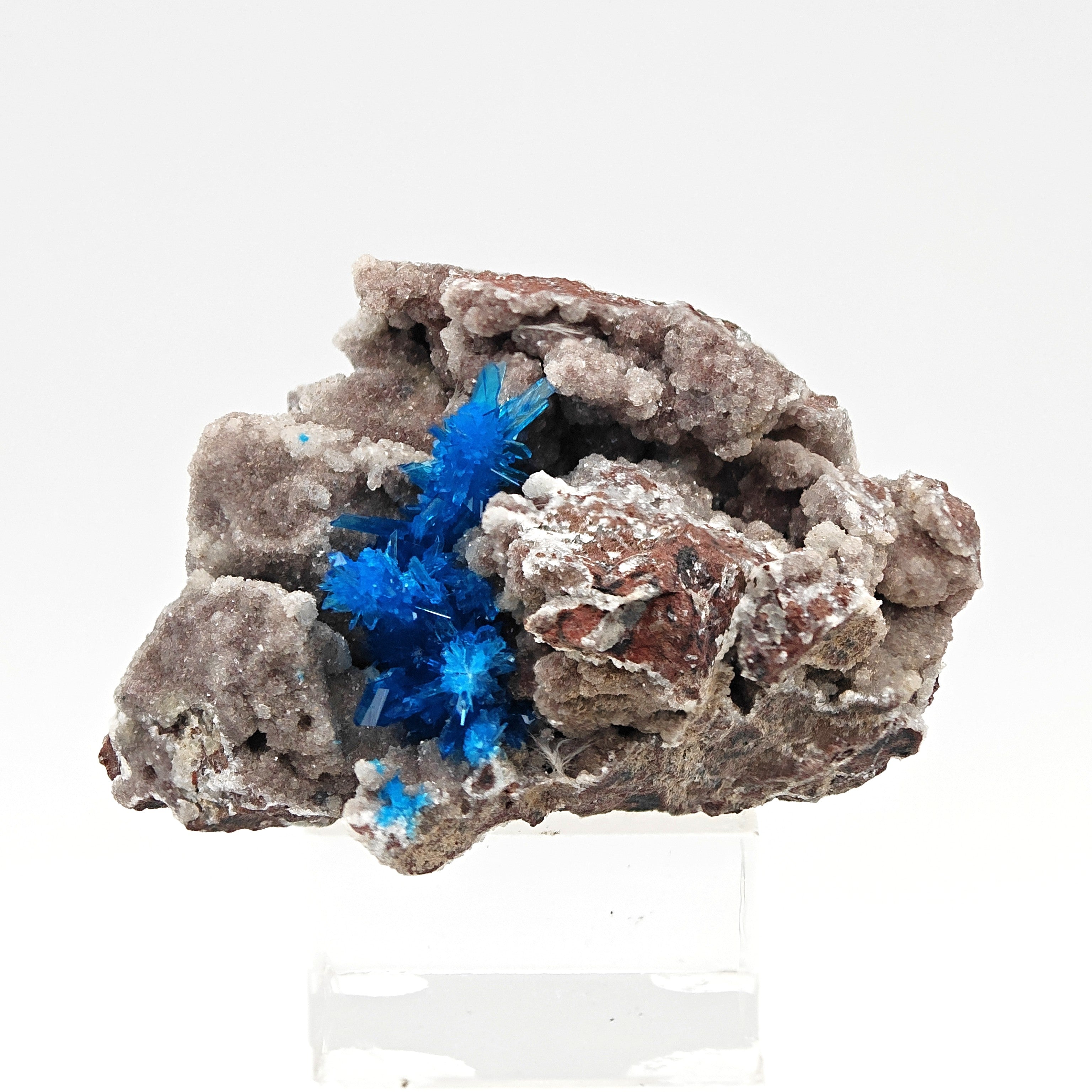 PENTAGONITE – Electric Blue Fan-Shaped Crystal Spray, Wagholi, Pune, India
