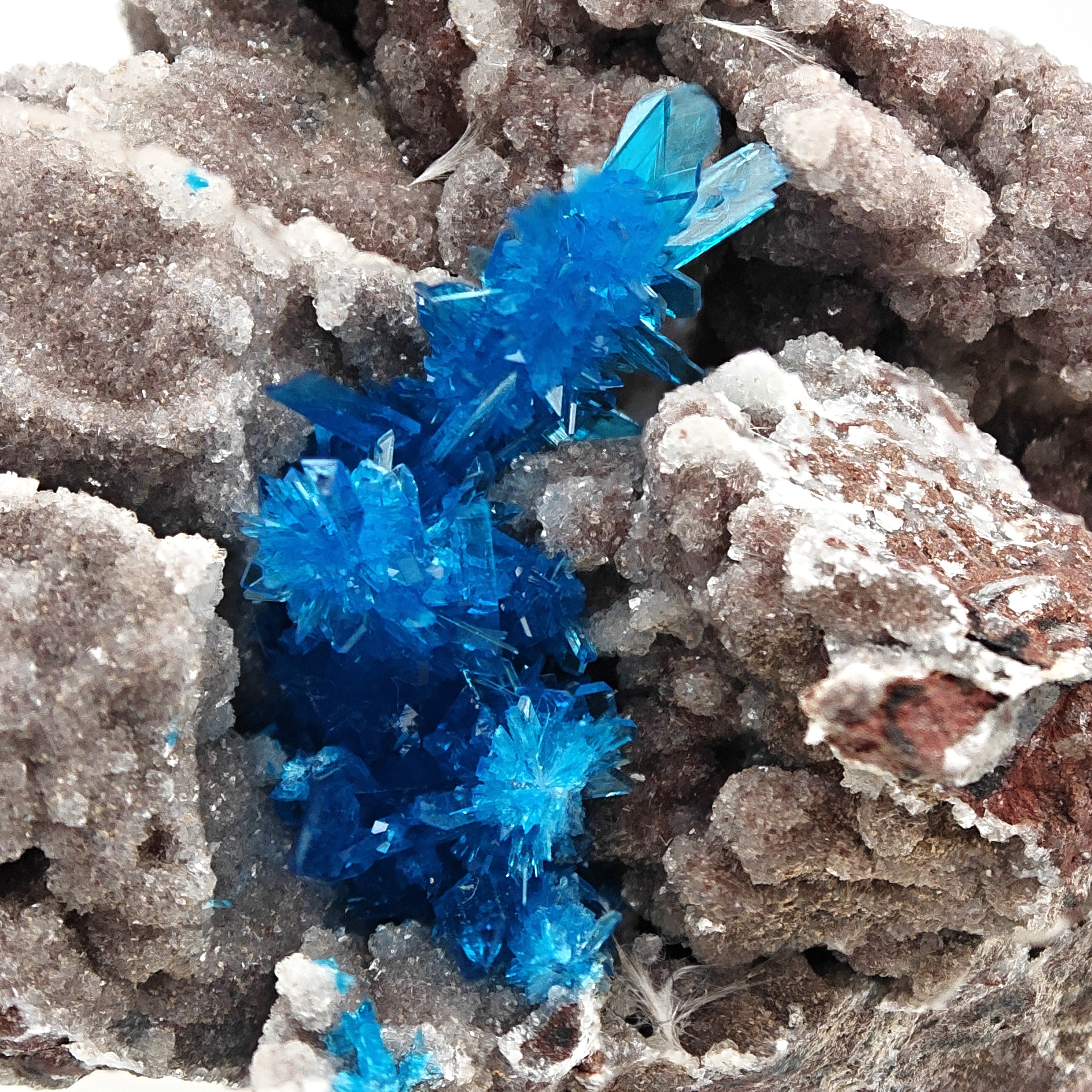 PENTAGONITE – Electric Blue Fan-Shaped Crystal Spray, Wagholi, Pune, India