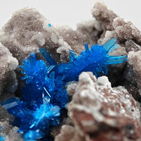 PENTAGONITE – Electric Blue Fan-Shaped Crystal Spray, Wagholi, Pune, India