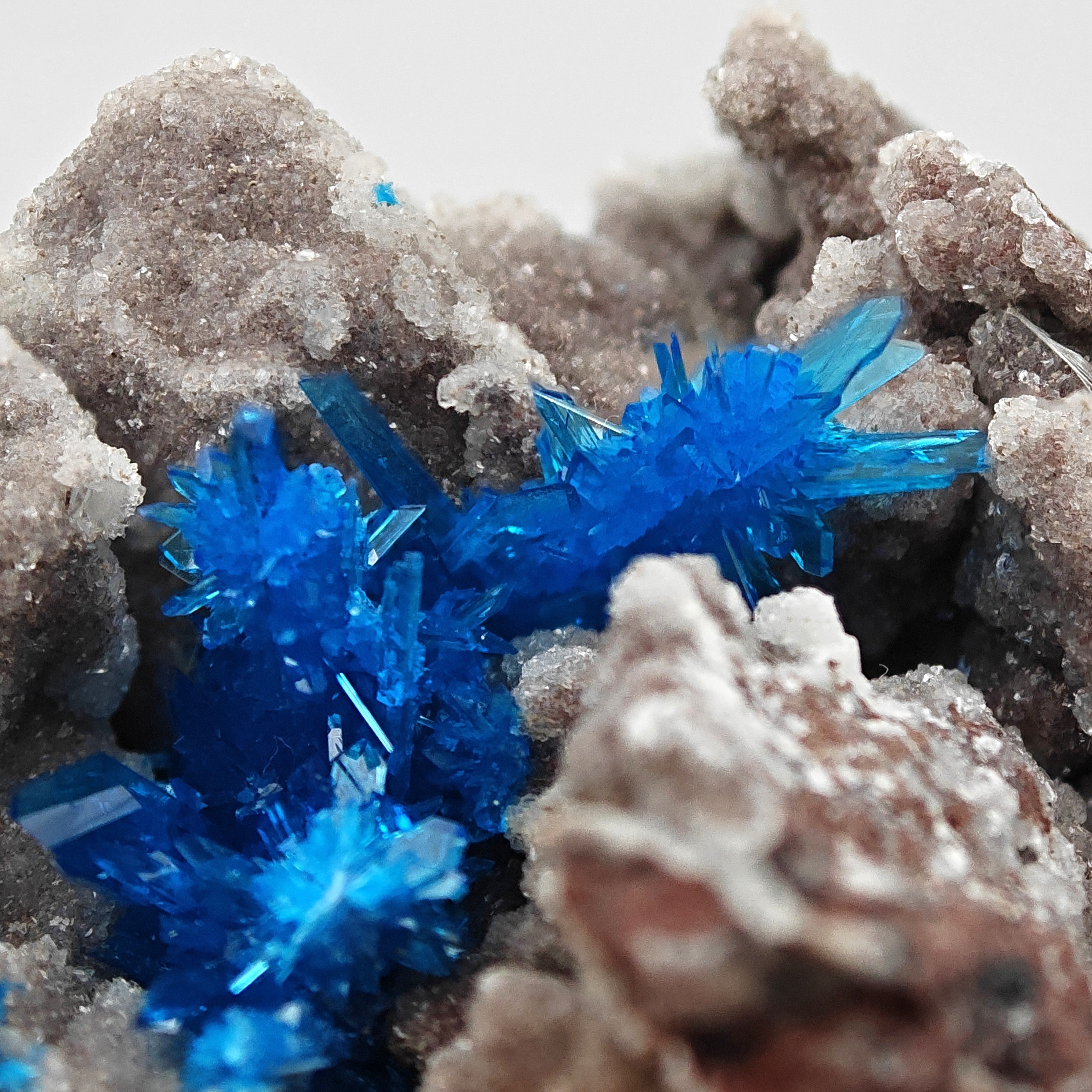 PENTAGONITE – Electric Blue Fan-Shaped Crystal Spray, Wagholi, Pune, India