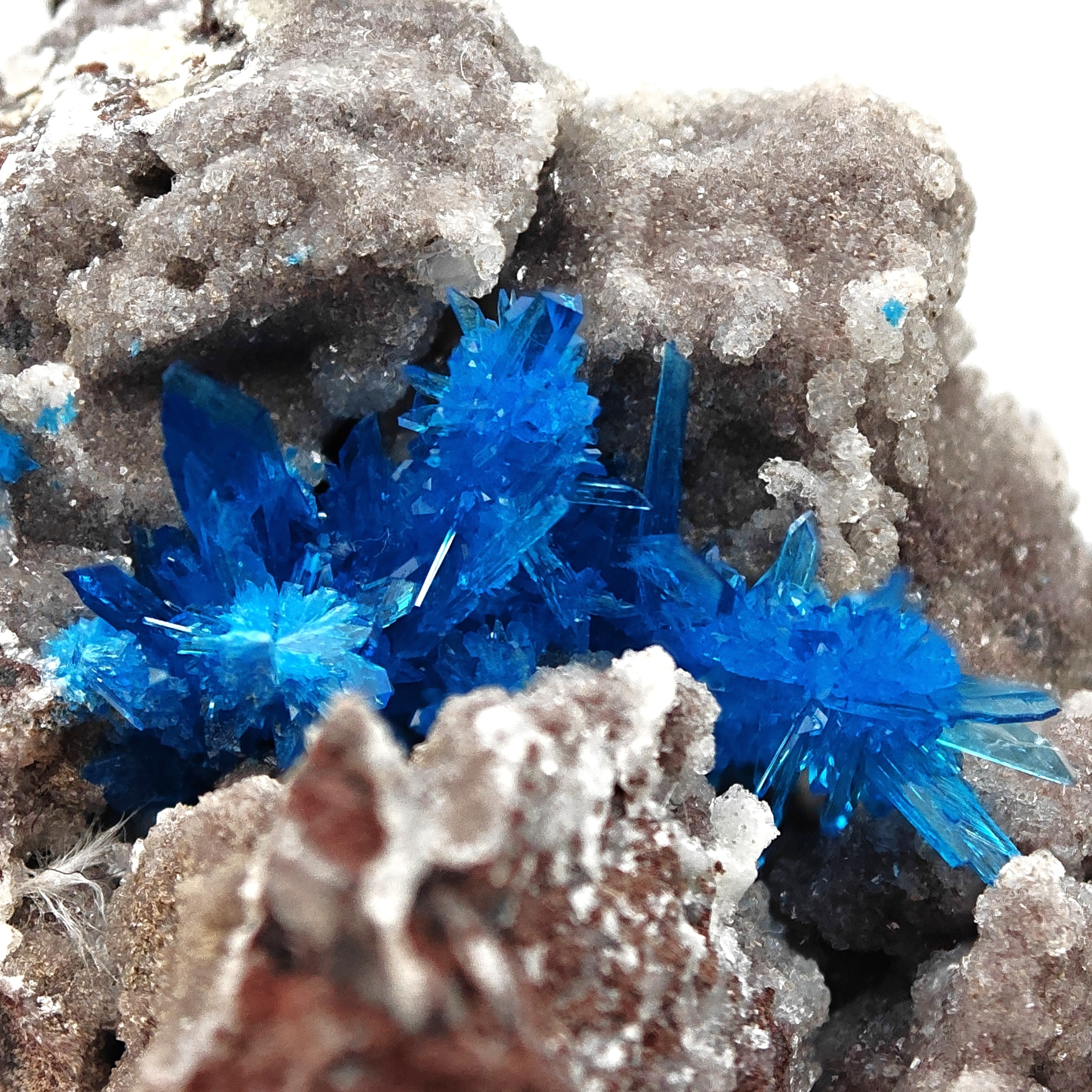 PENTAGONITE – Electric Blue Fan-Shaped Crystal Spray, Wagholi, Pune, India