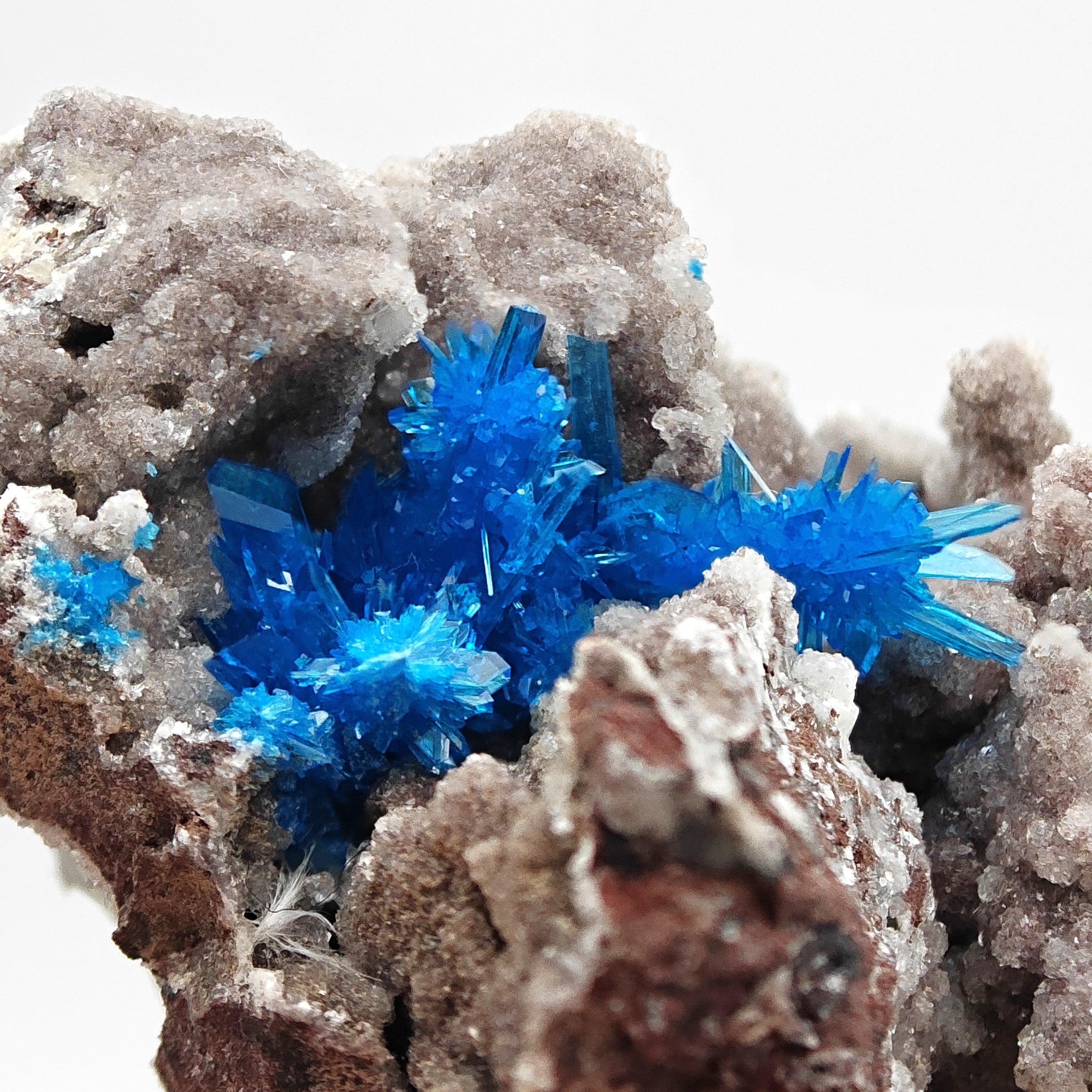 PENTAGONITE – Electric Blue Fan-Shaped Crystal Spray, Wagholi, Pune, India