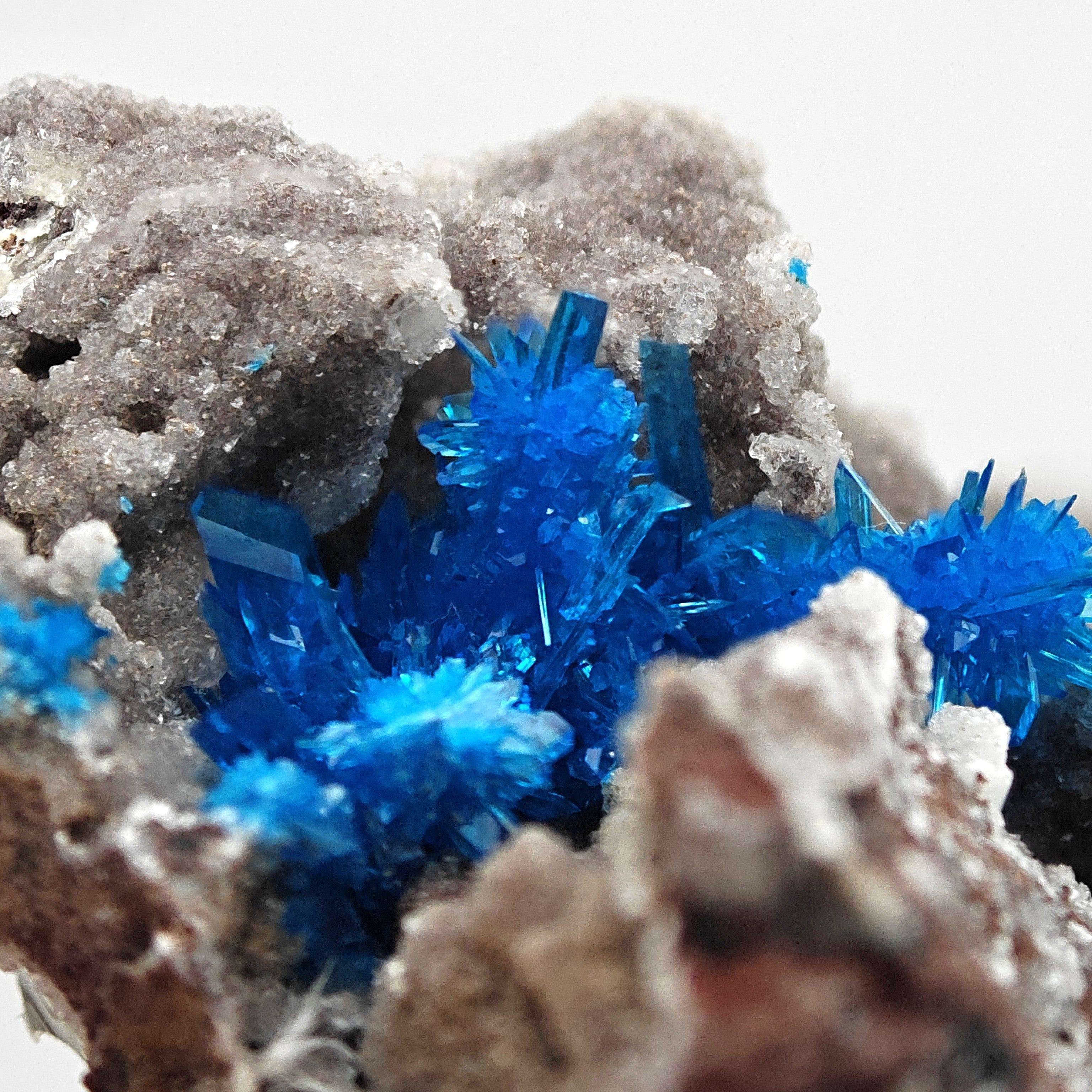 PENTAGONITE – Electric Blue Fan-Shaped Crystal Spray, Wagholi, Pune, India